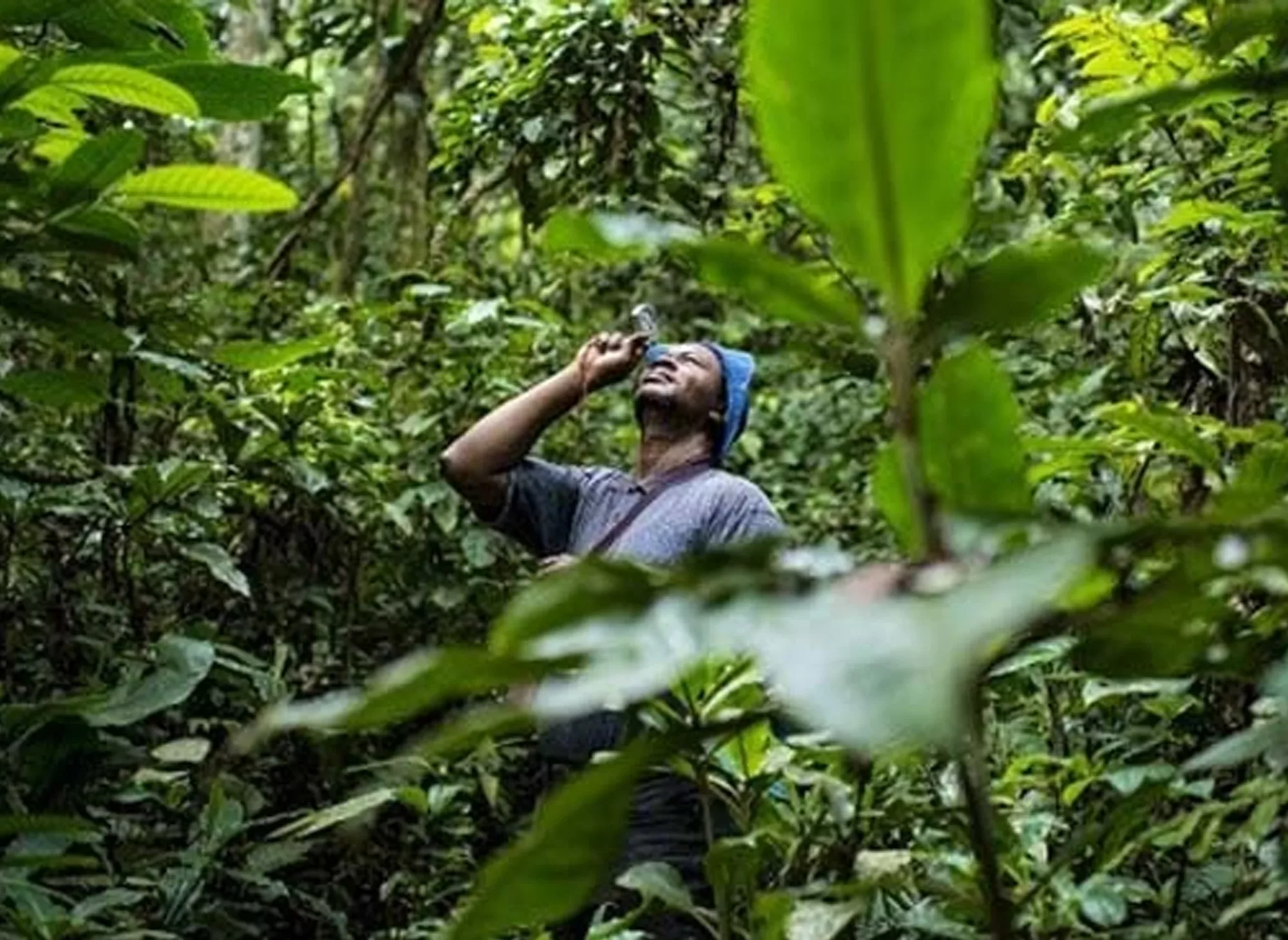 biodiversite animal pensant AFD