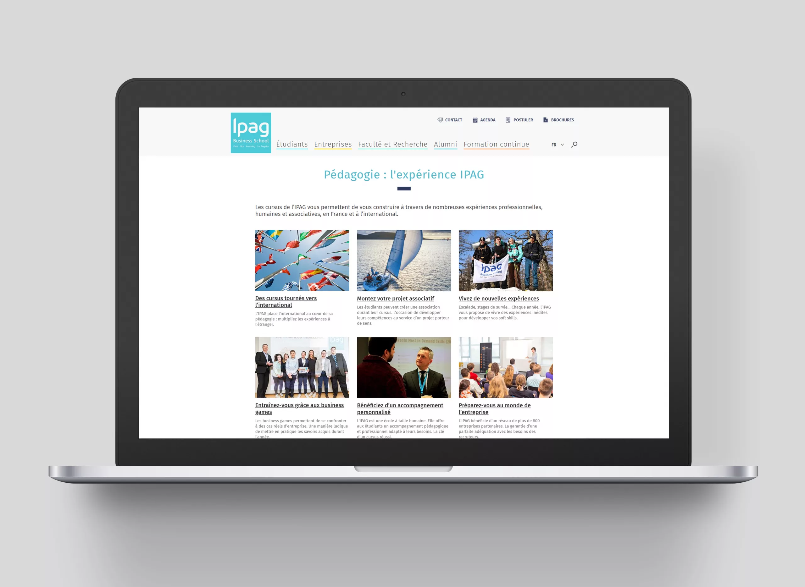 refonte-edito-animal-pensant-ipag-7