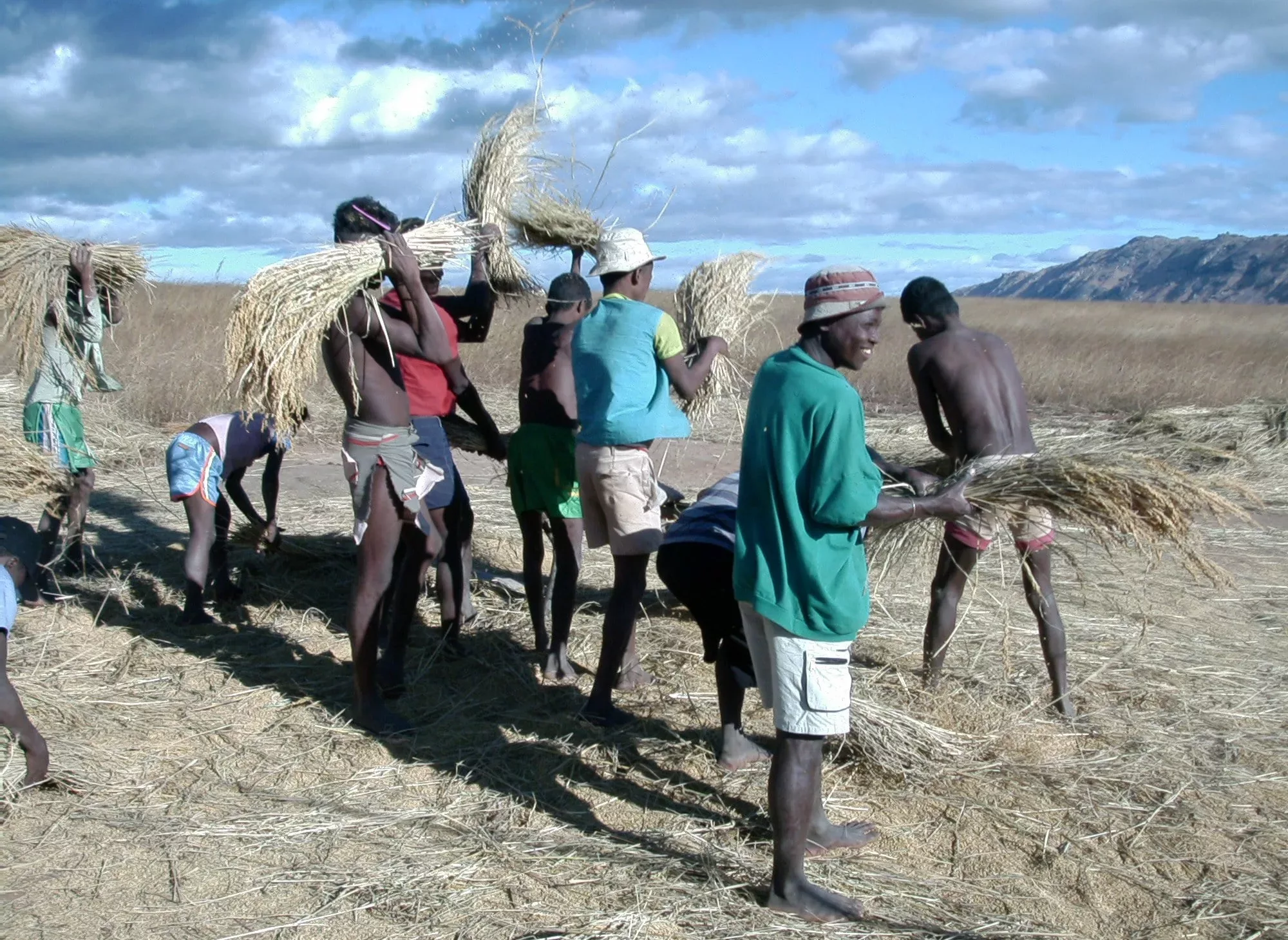 agriculture metier avenir animal pensant AFD