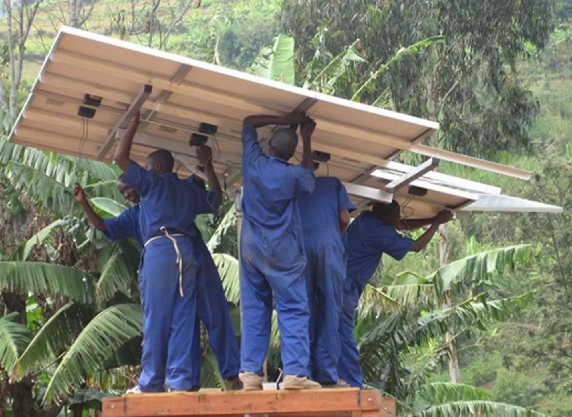 developpement zero carbone animal pensant AFD