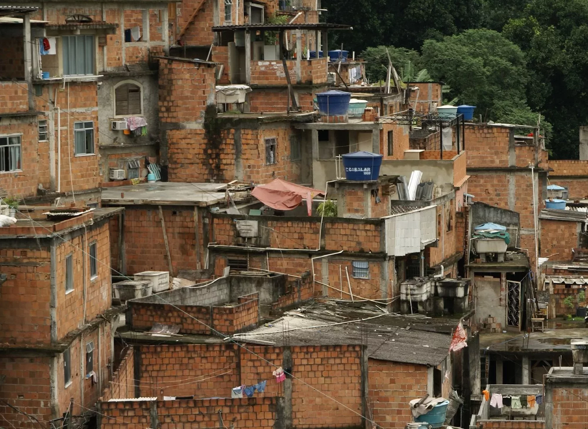 precarite-urbaine-AFD-iD4D-animal pensant