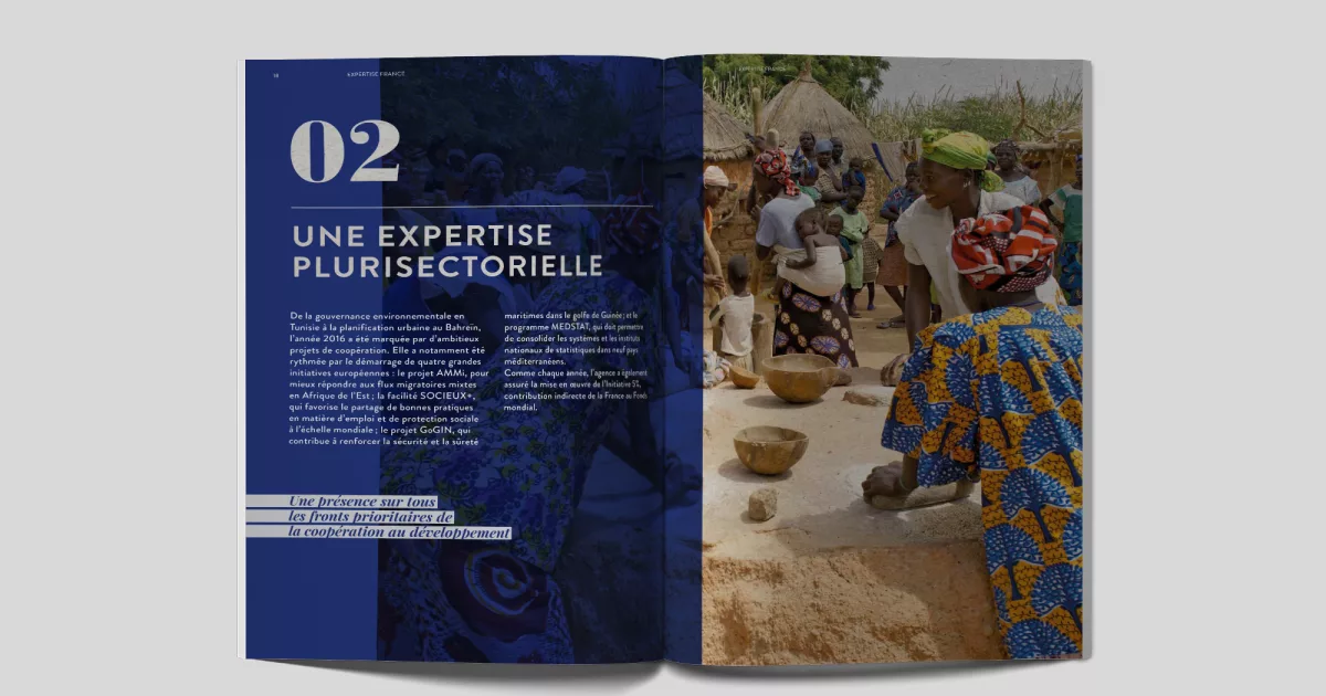 rapport-annuel-2016-animal-pensant-expertise-france-3
