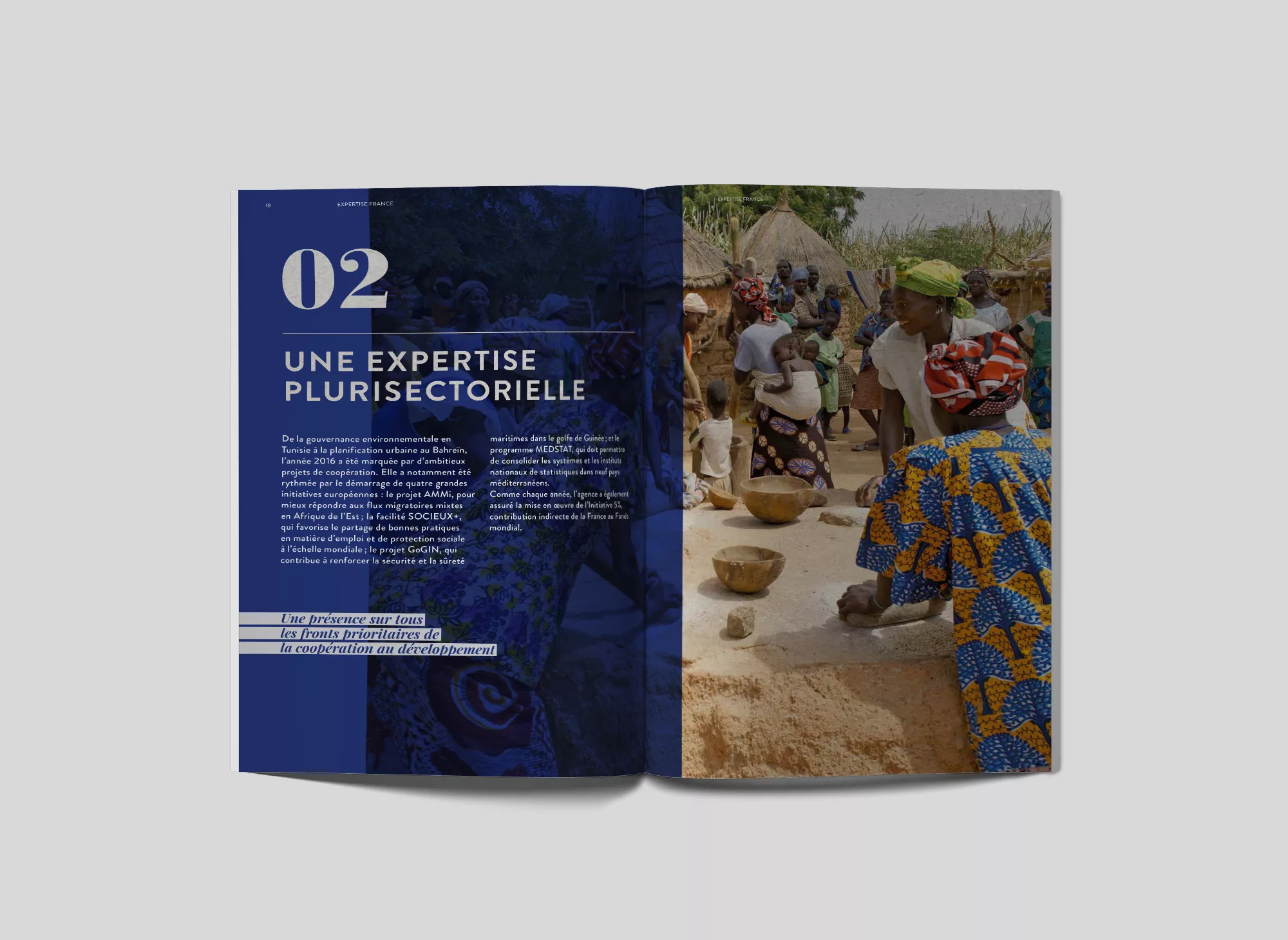 rapport-annuel-2016-animal-pensant-expertise-france-3