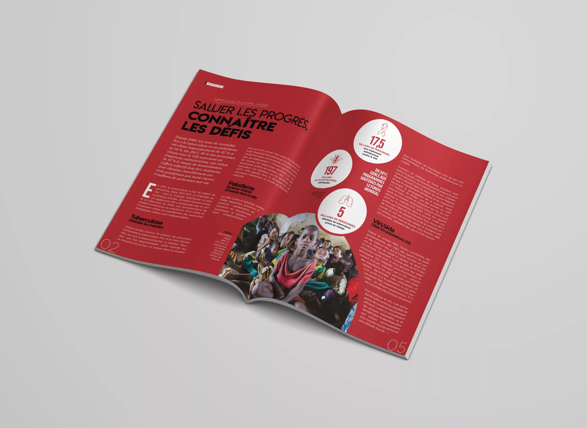 rapport-annuel-animal-pensant-initiative-5-p-4