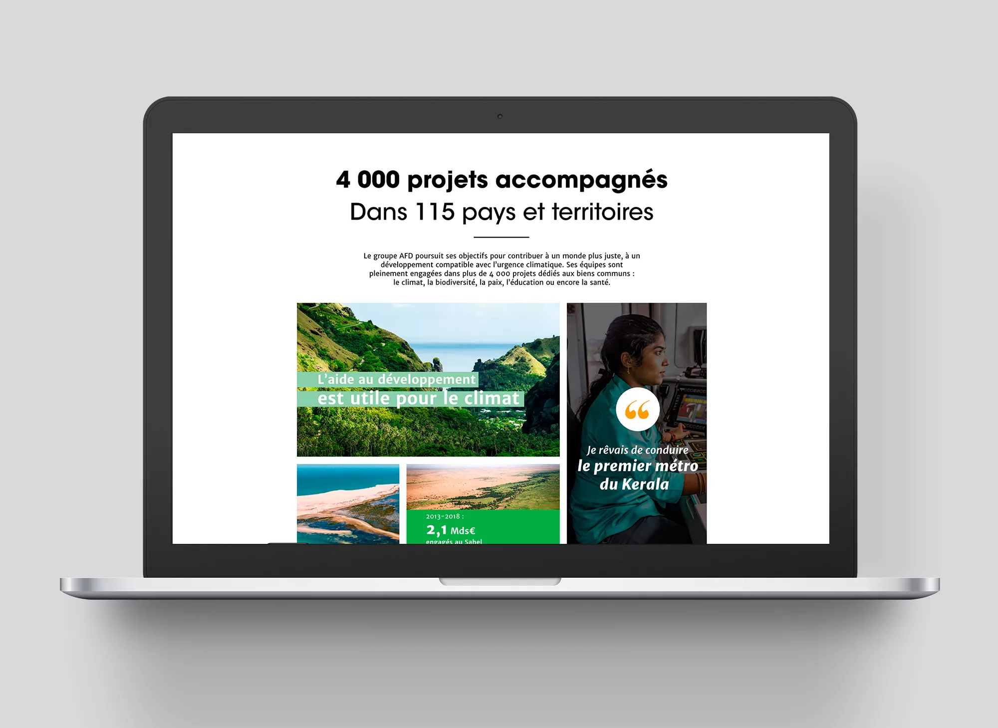 Datawall-desktop-animal-pensant-afd-8