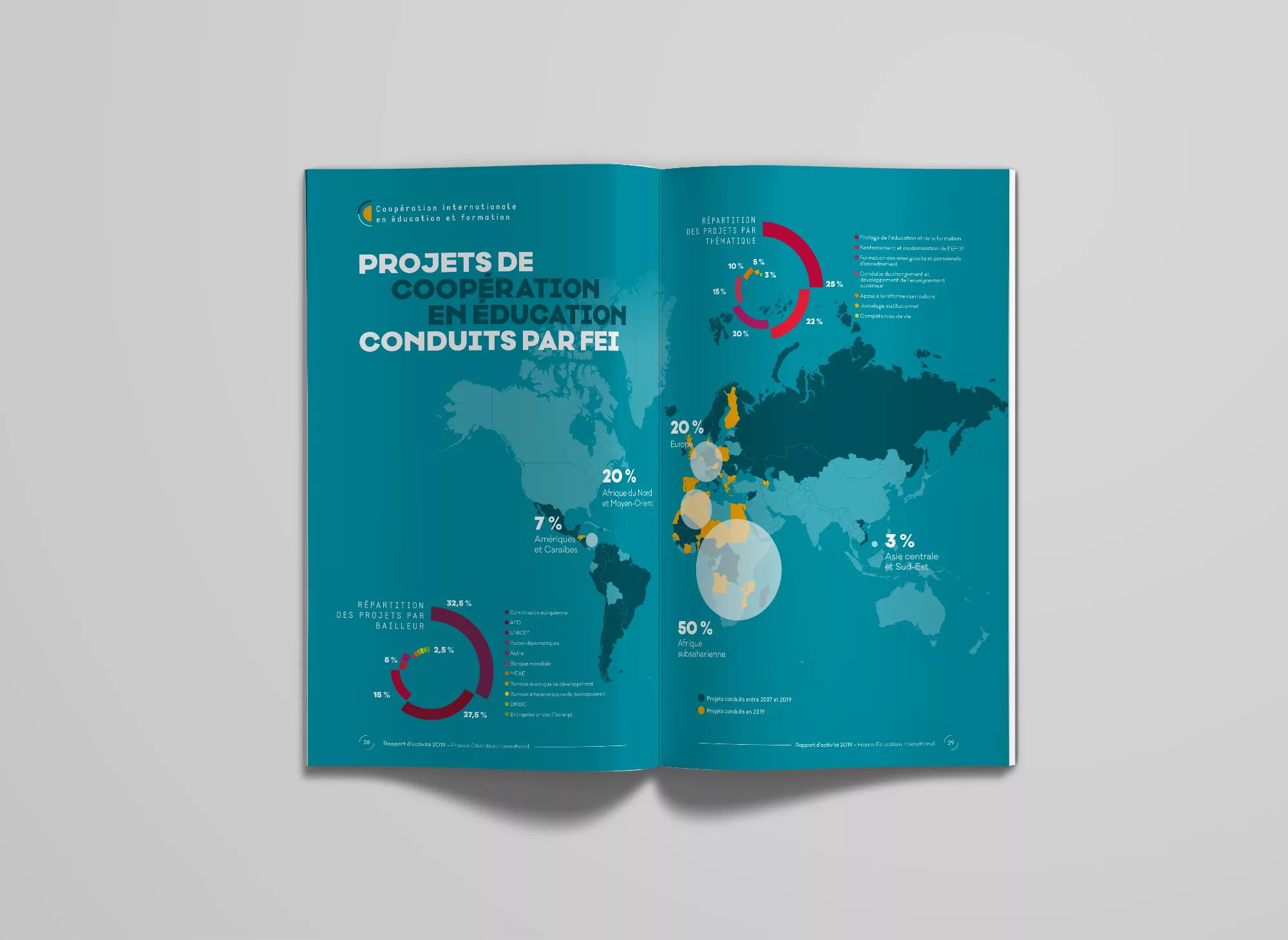 rapport-activite-animal-pensant-fei-4