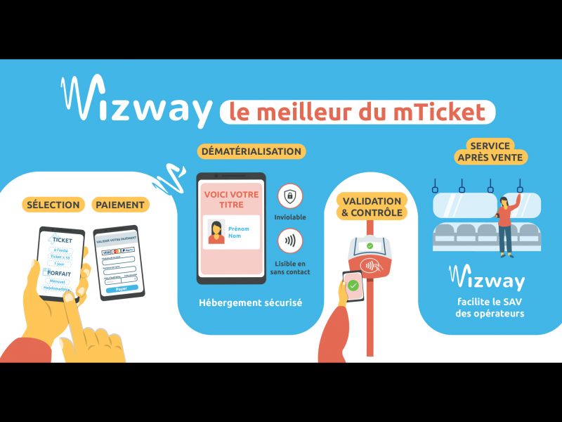 wizway-Infographie-ecosysteme-animal-pensant