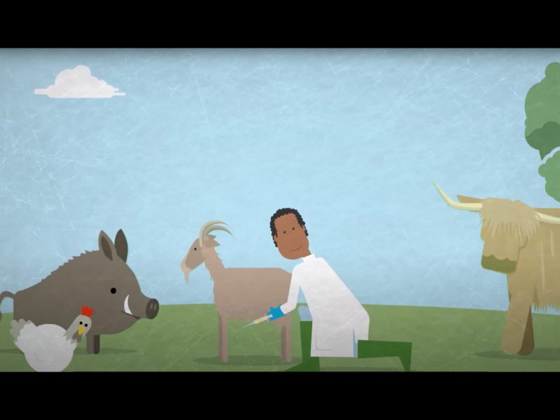 oie-video-2020-web-animal-pensant-02