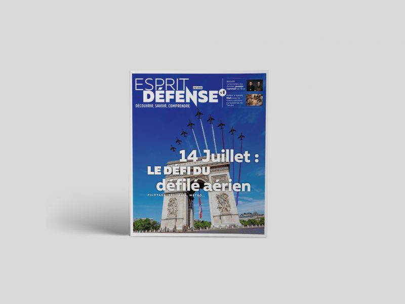 magasine-des-armees-animal-pensant-calameo