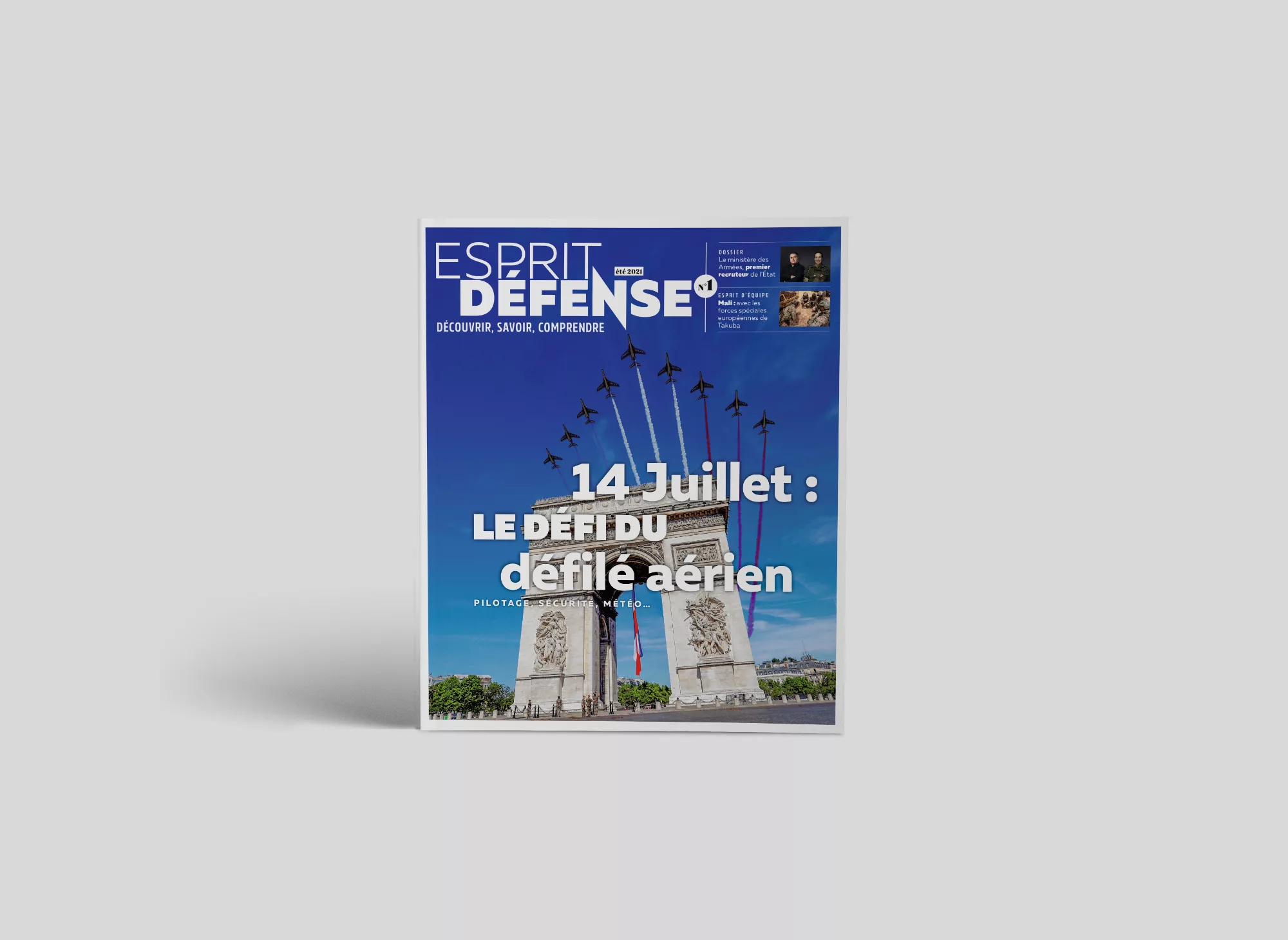 magasine-des-armees-animal-pensant-calameo