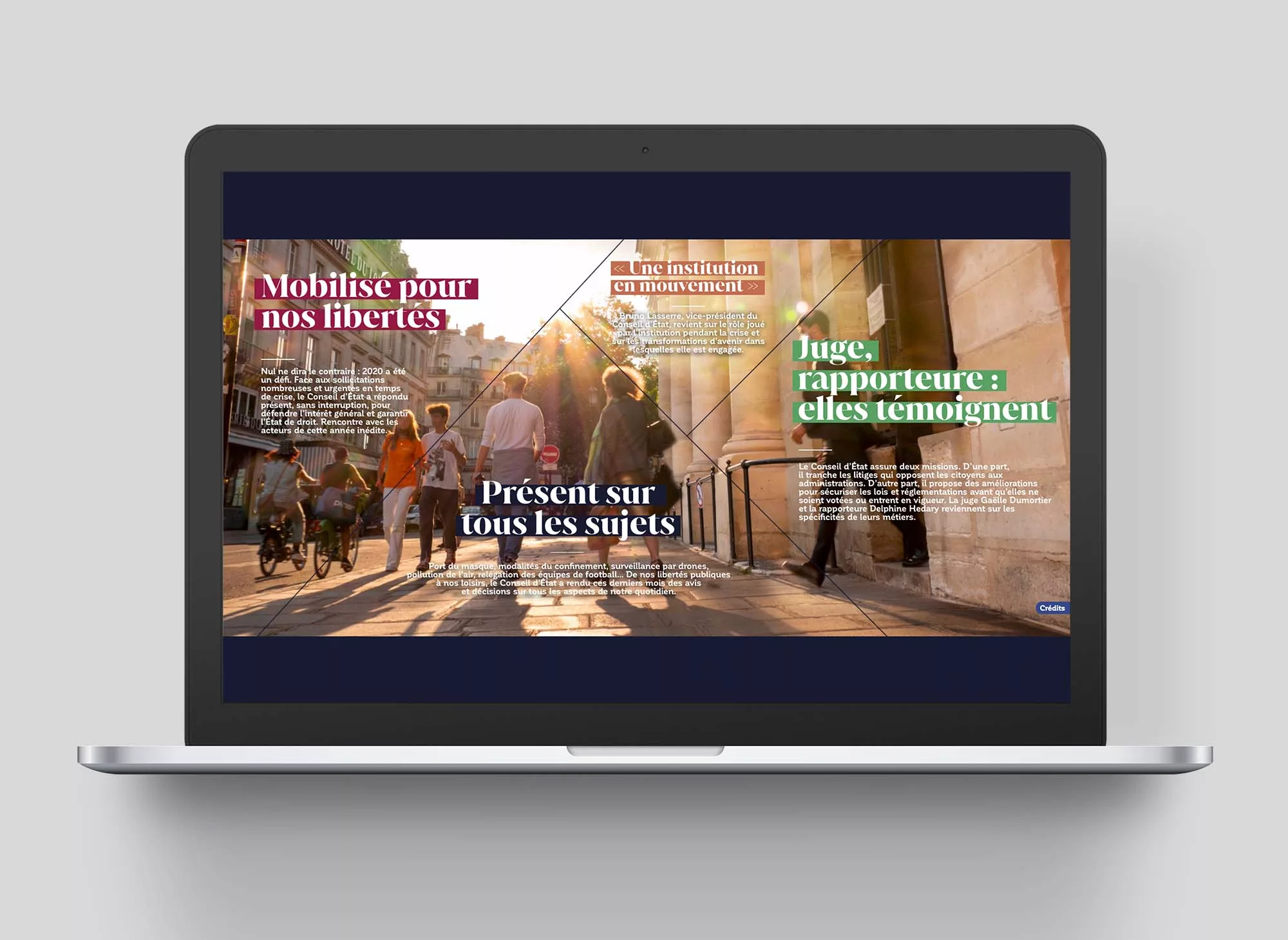 ce-en-action-animal-pensant-conseil-etat-03