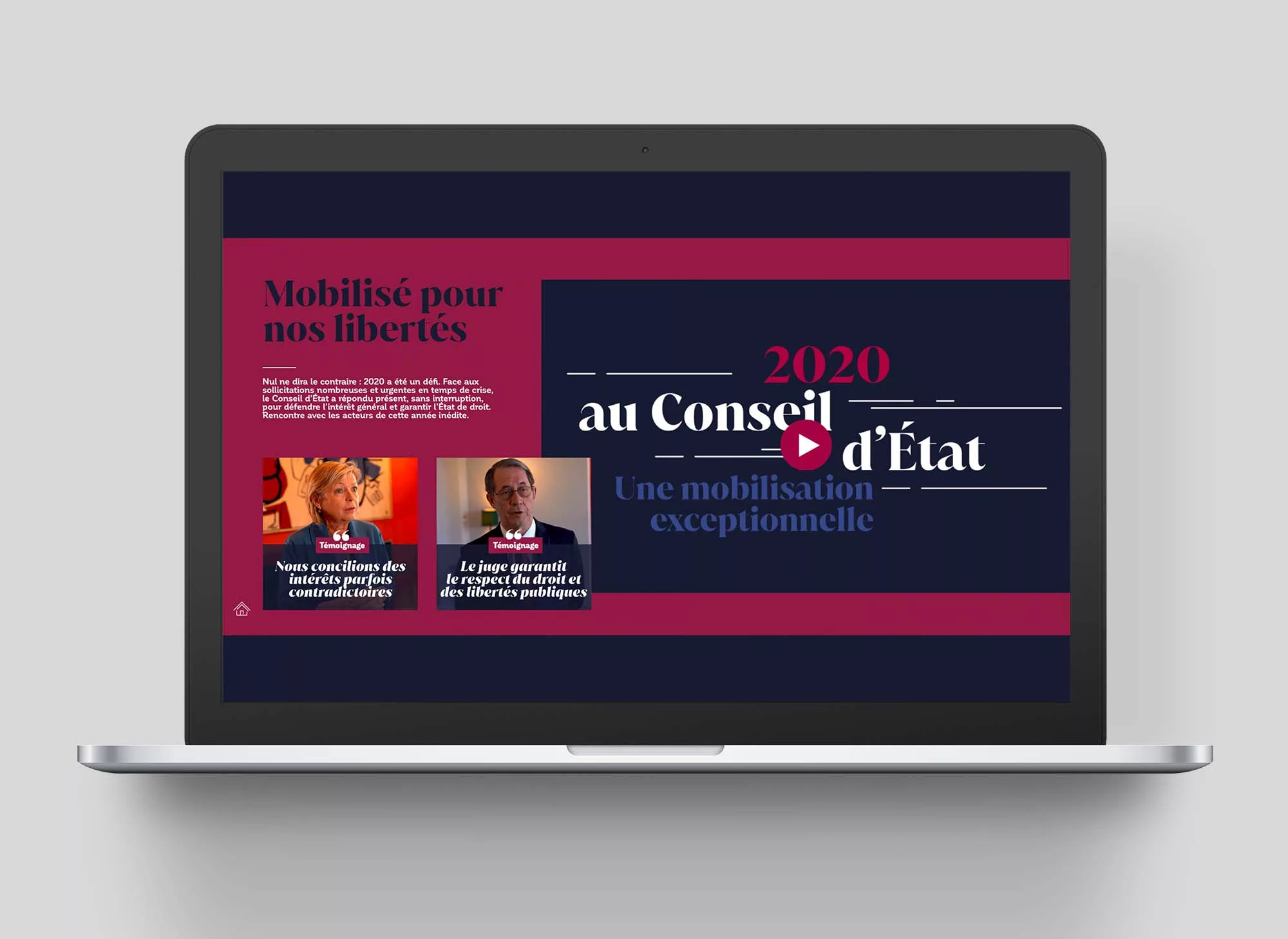 ce-en-action-animal-pensant-conseil-etat-04