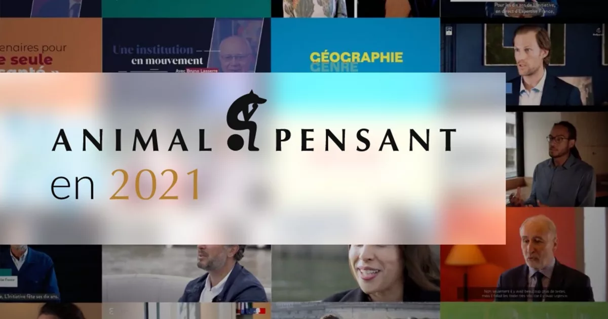 Reel-2021