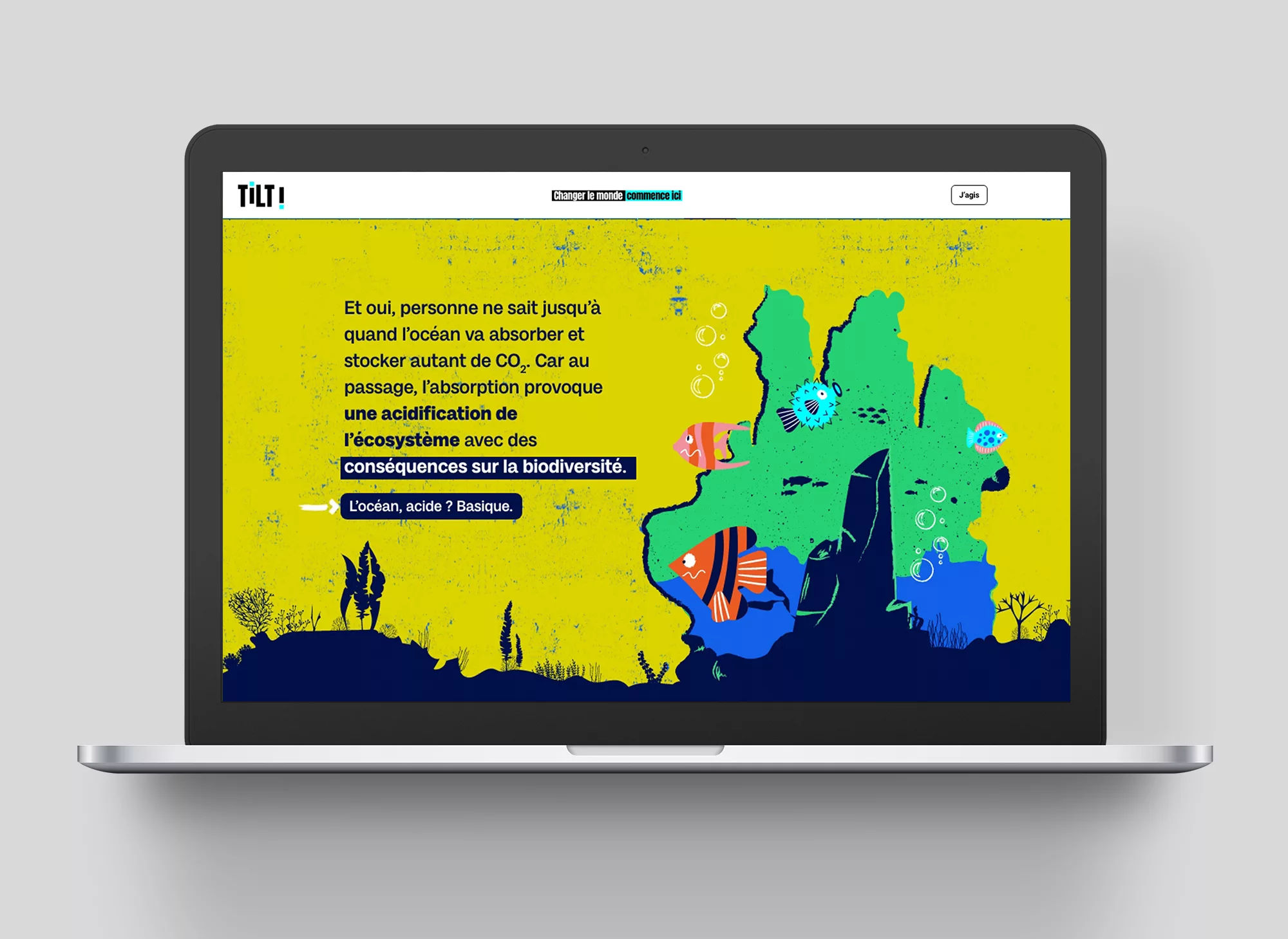 tilt-ocean-animalpensant-afd-03