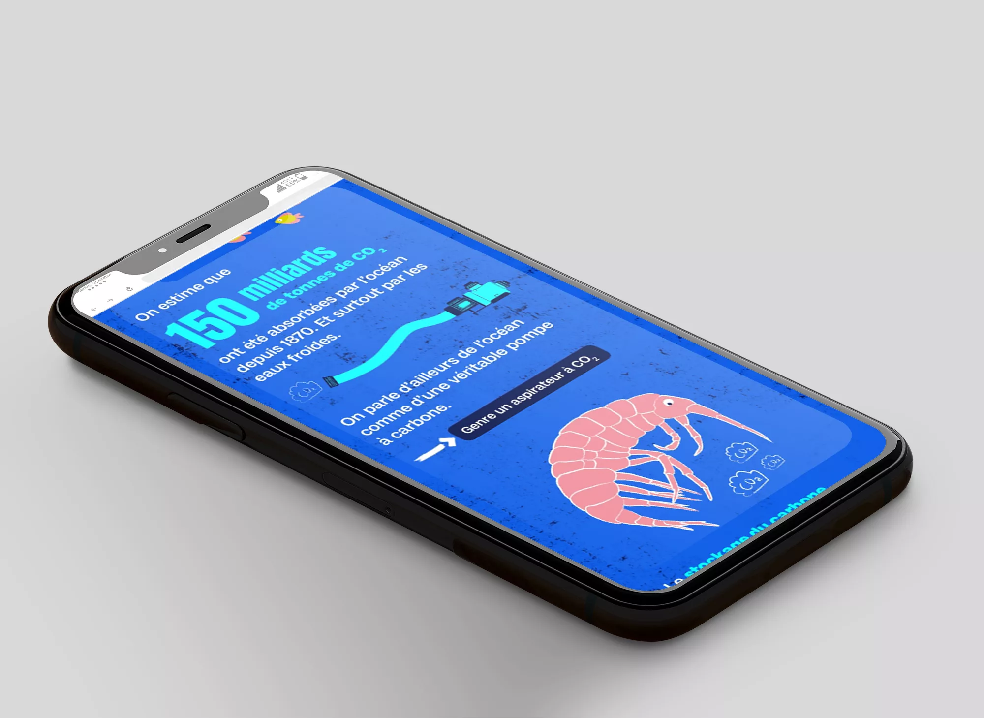 tilt-ocean-animalpensant-afd-04