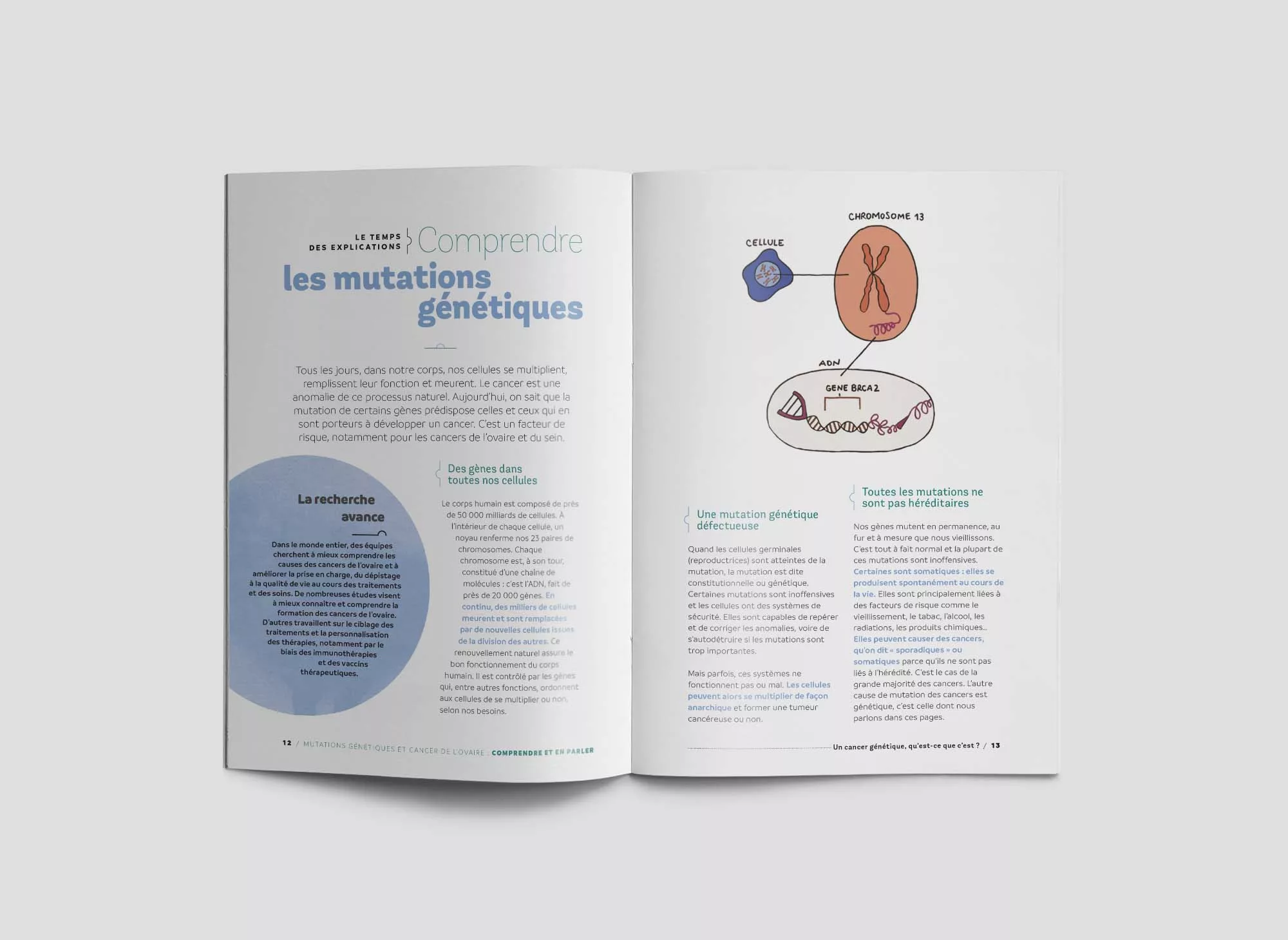 brochure Cancer-imagyn-animal-pensant-4