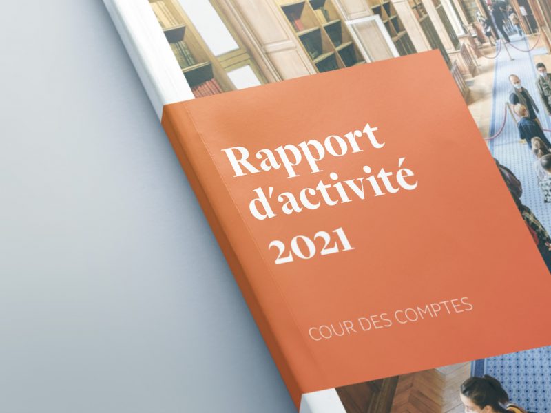 rapport-activite-animal-pensant-cour-des-compte-01