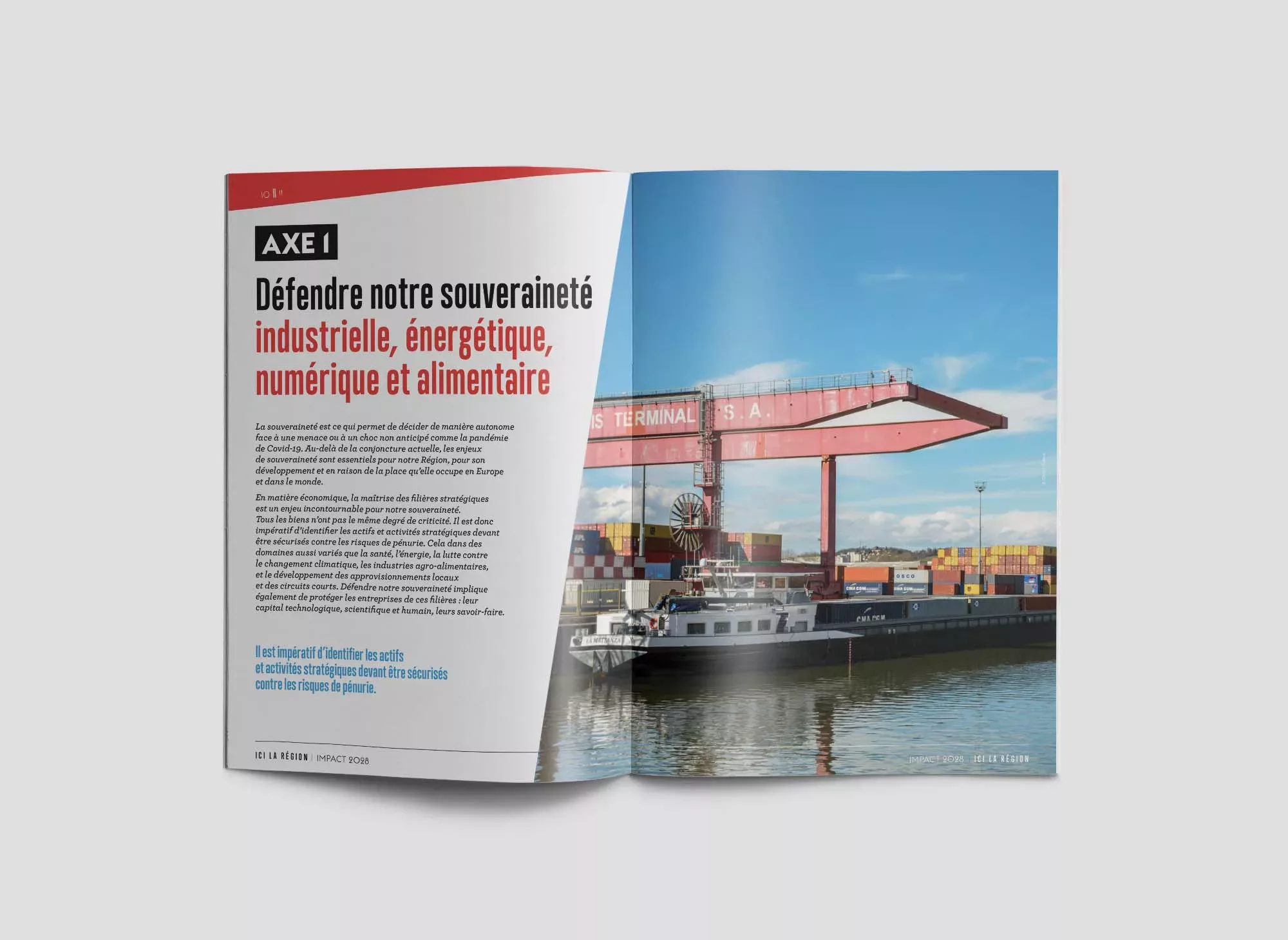 ridf-brochure-srdeii-animal-pensnant-3