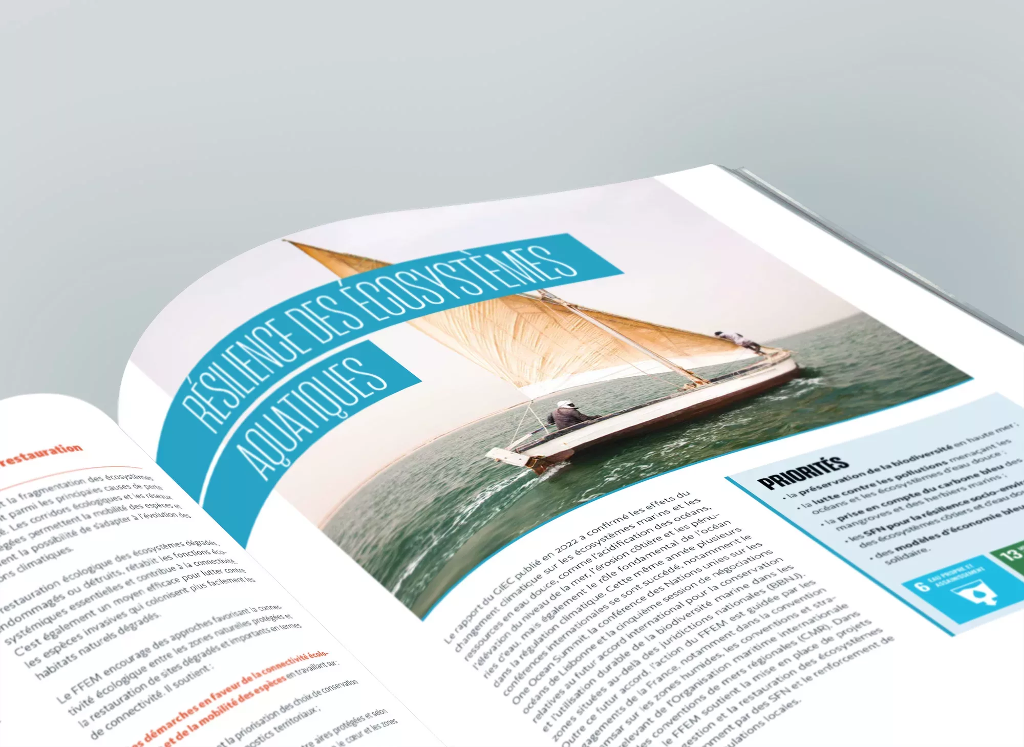 strategie-2023-2026-animal-pensant-FFEM-a