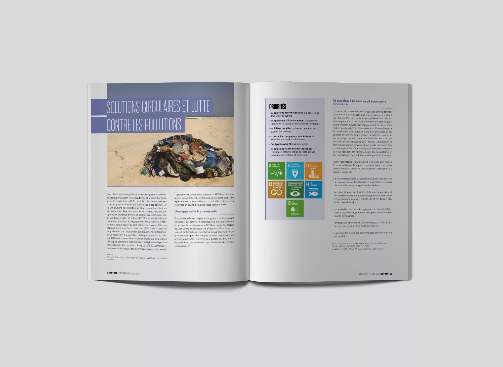 strategie-2023-2026-animal-pensant-FFEM-c