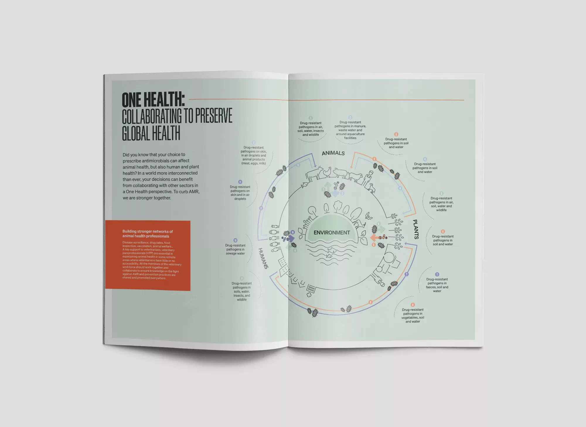 woah-professionnel guidline-animalpensant 03