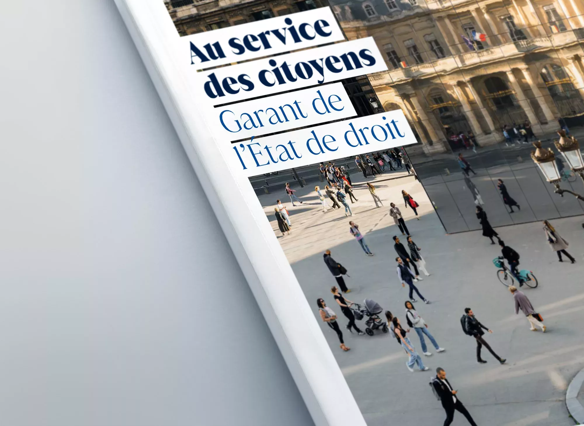 Bilan d&rsquo;activité 2022 Conseil d&rsquo;État | Animal pensant