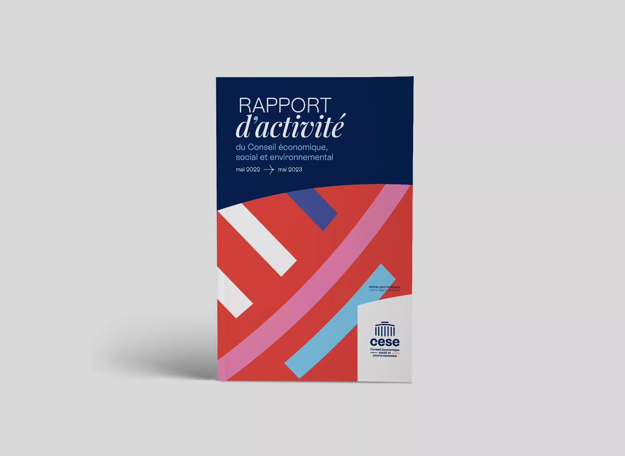 rapport-activite-2023-animal-pensant-cese-calameo