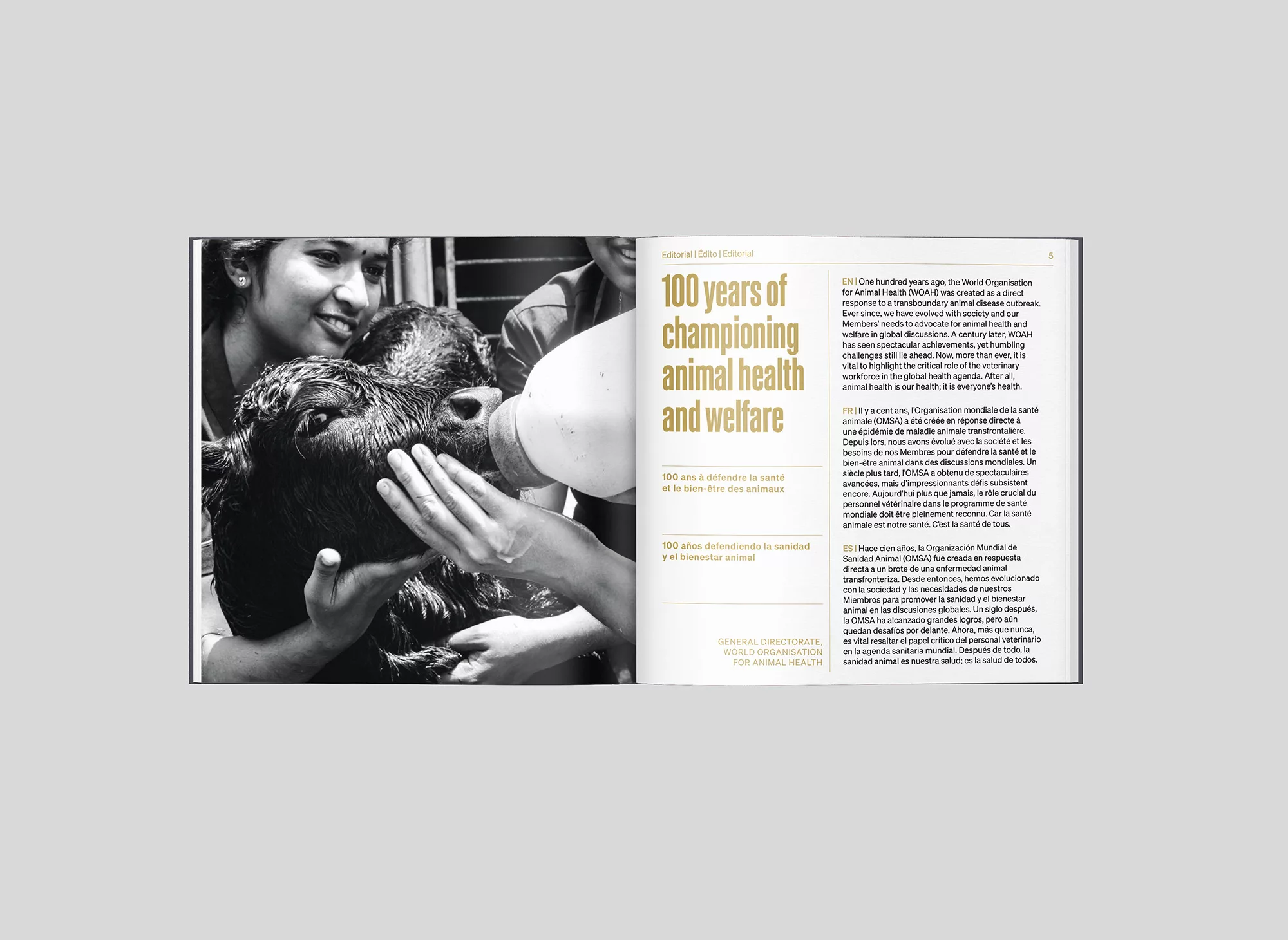 Livre photo centenaire OMSA – Animal pensant