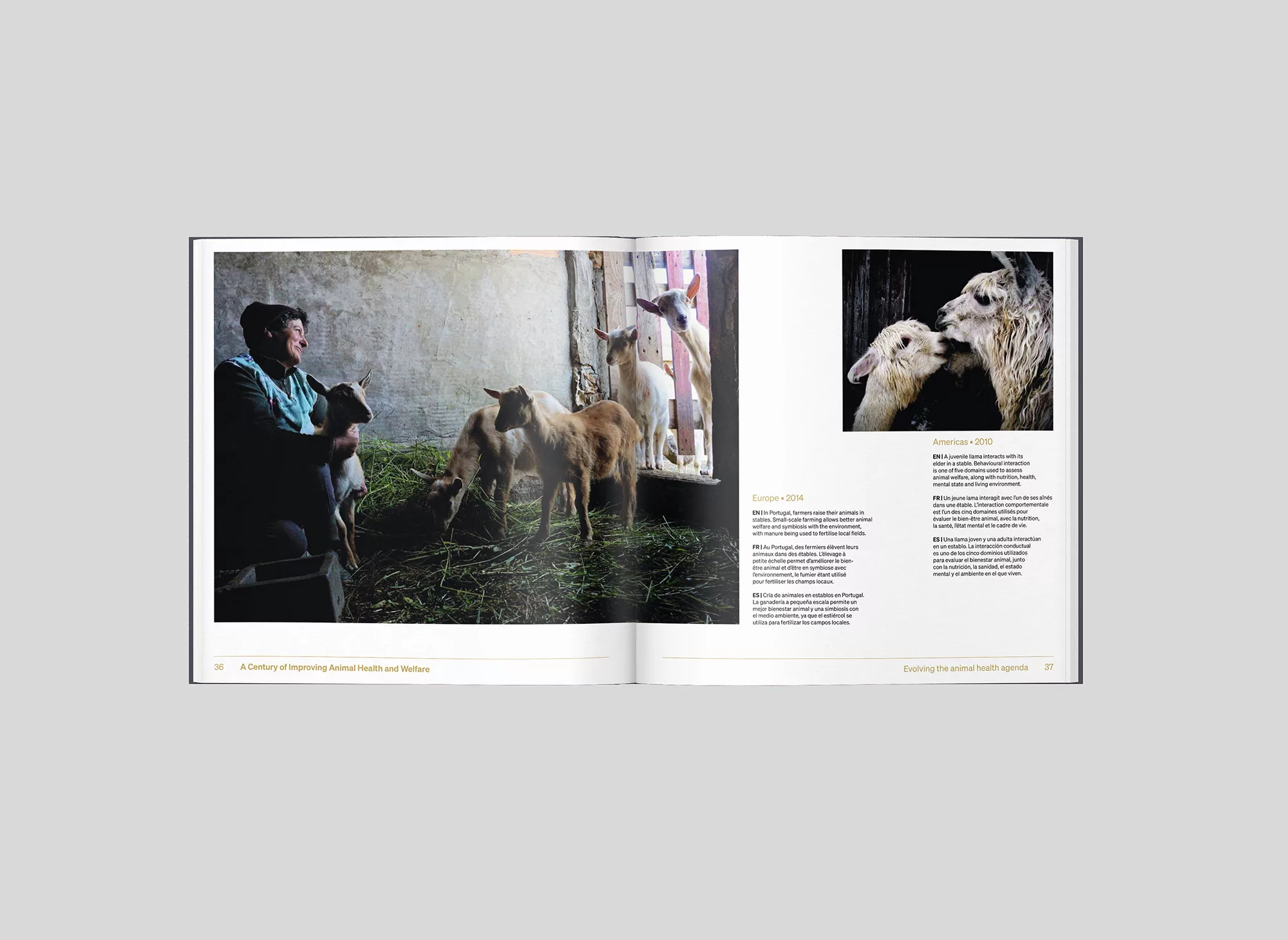 Livre photo centenaire OMSA – Animal pensant