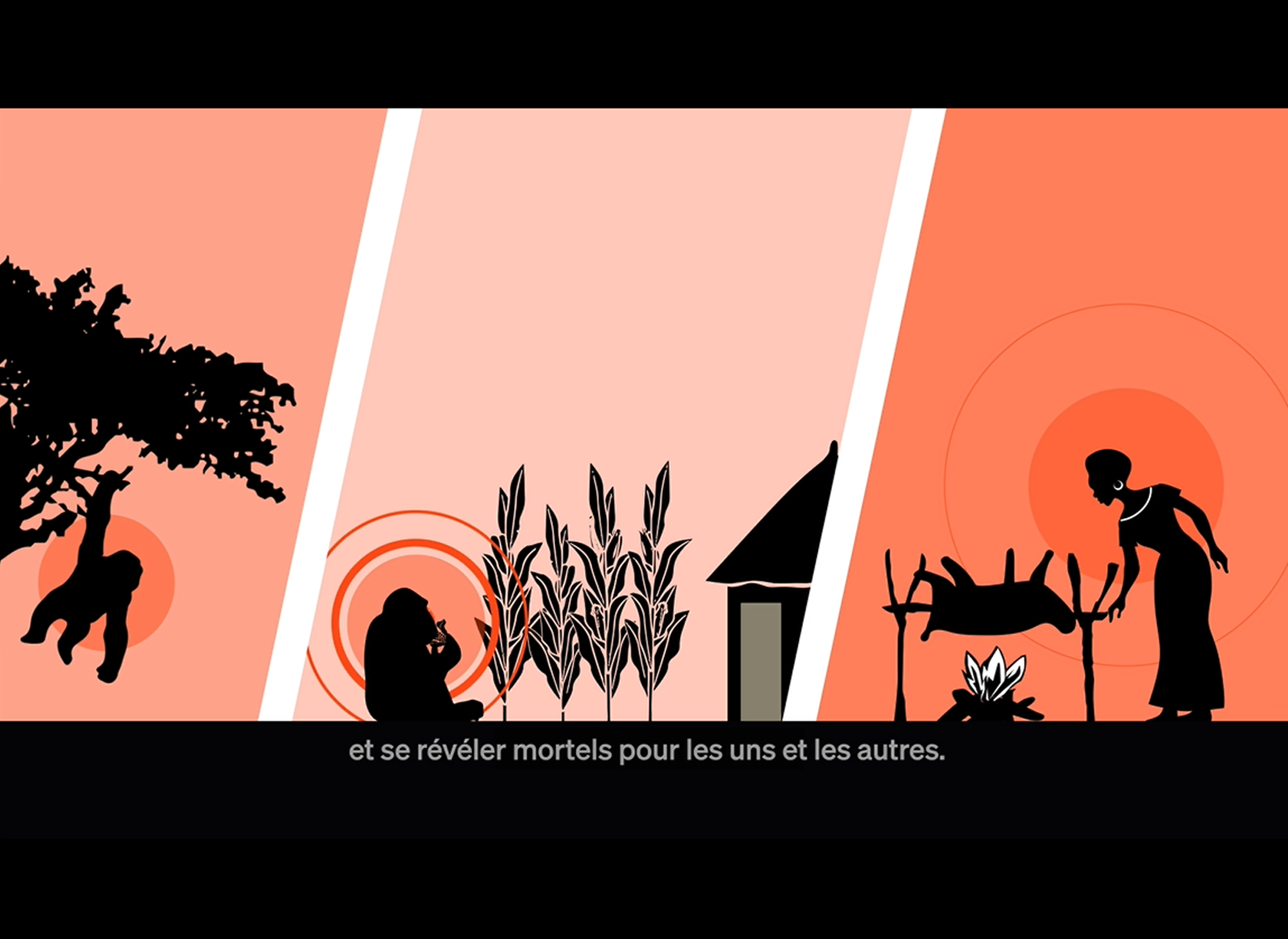 Motion design EBO-SURSY – Animal Pensant