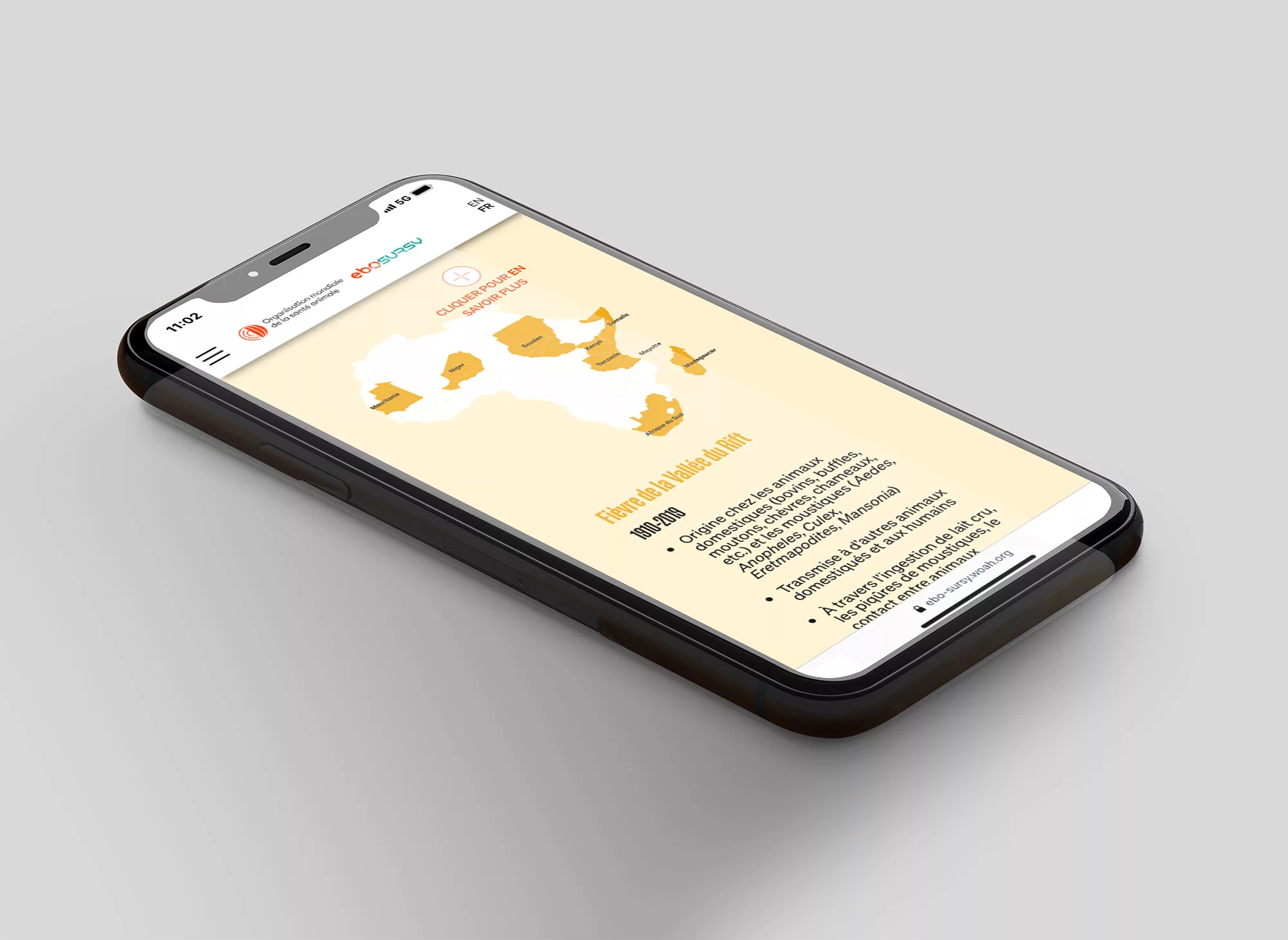 Scrollytelling EBO-SURSY – Animal Pensant