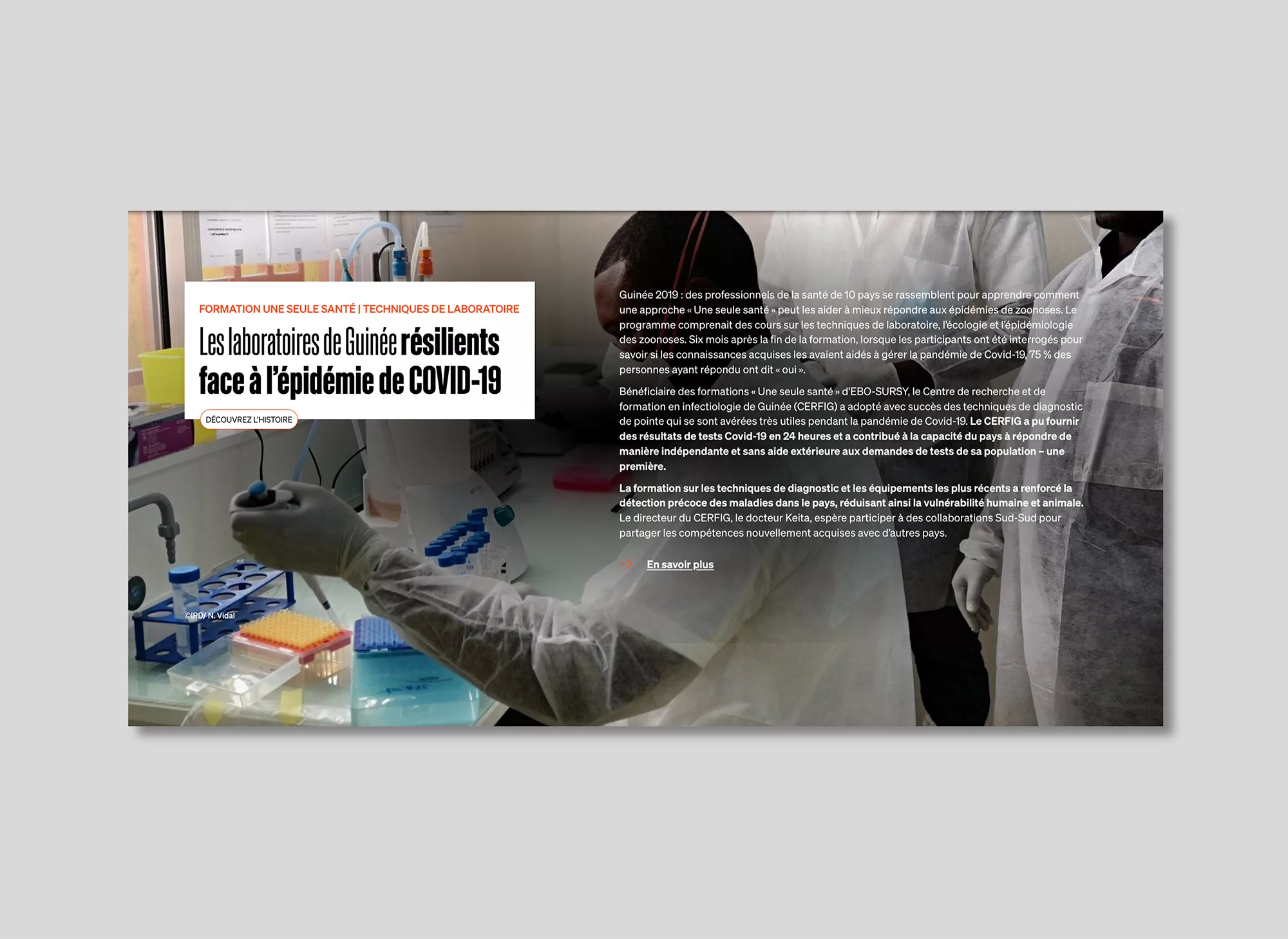 Scrollytelling EBO-SURSY – Animal Pensant