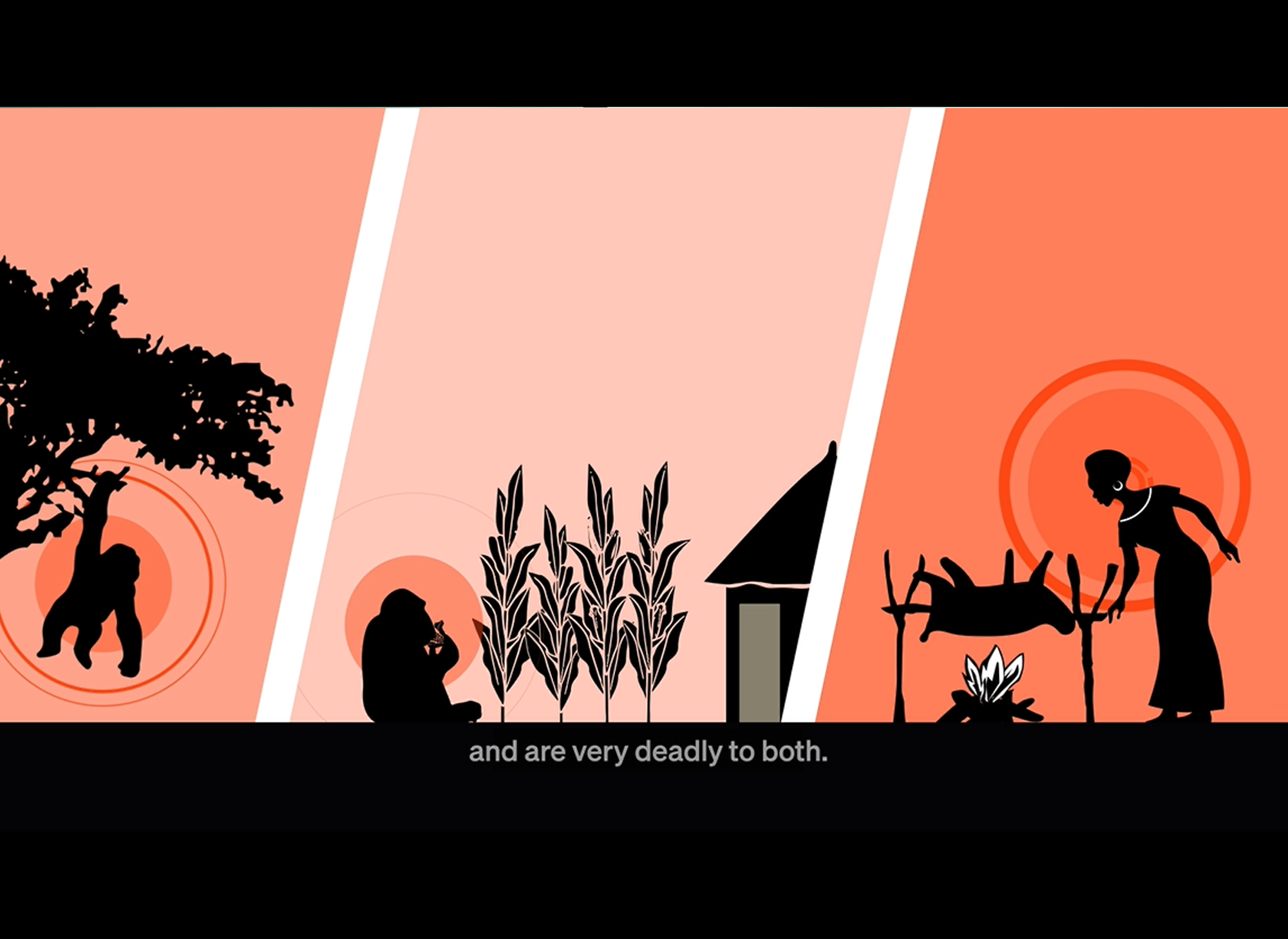 Motion Design on Community Engagement | Animal Pensant