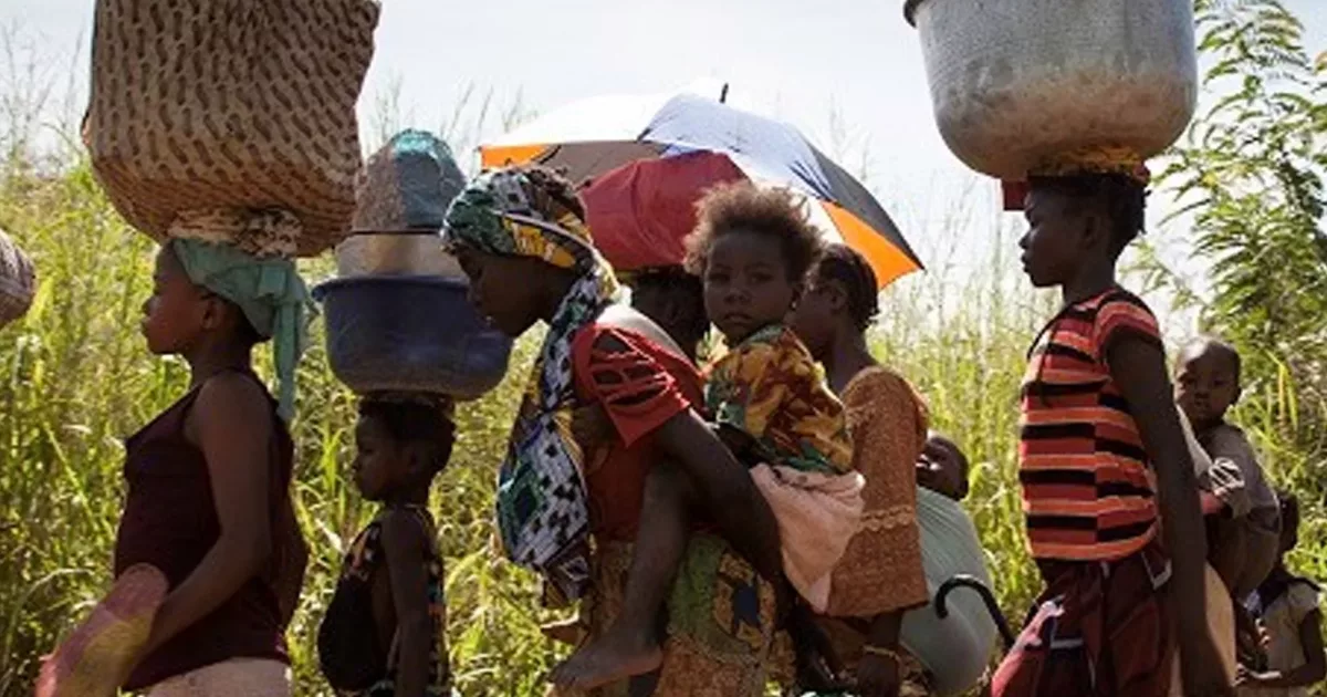 AFD-Conférence iD4D-Centrafrique-animal-pensant.docx