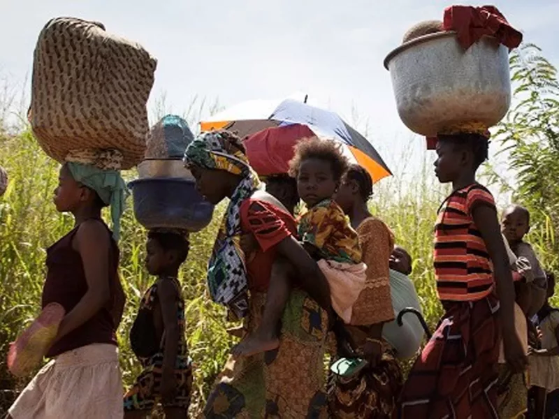 AFD-Conférence iD4D-Centrafrique-animal-pensant.docx