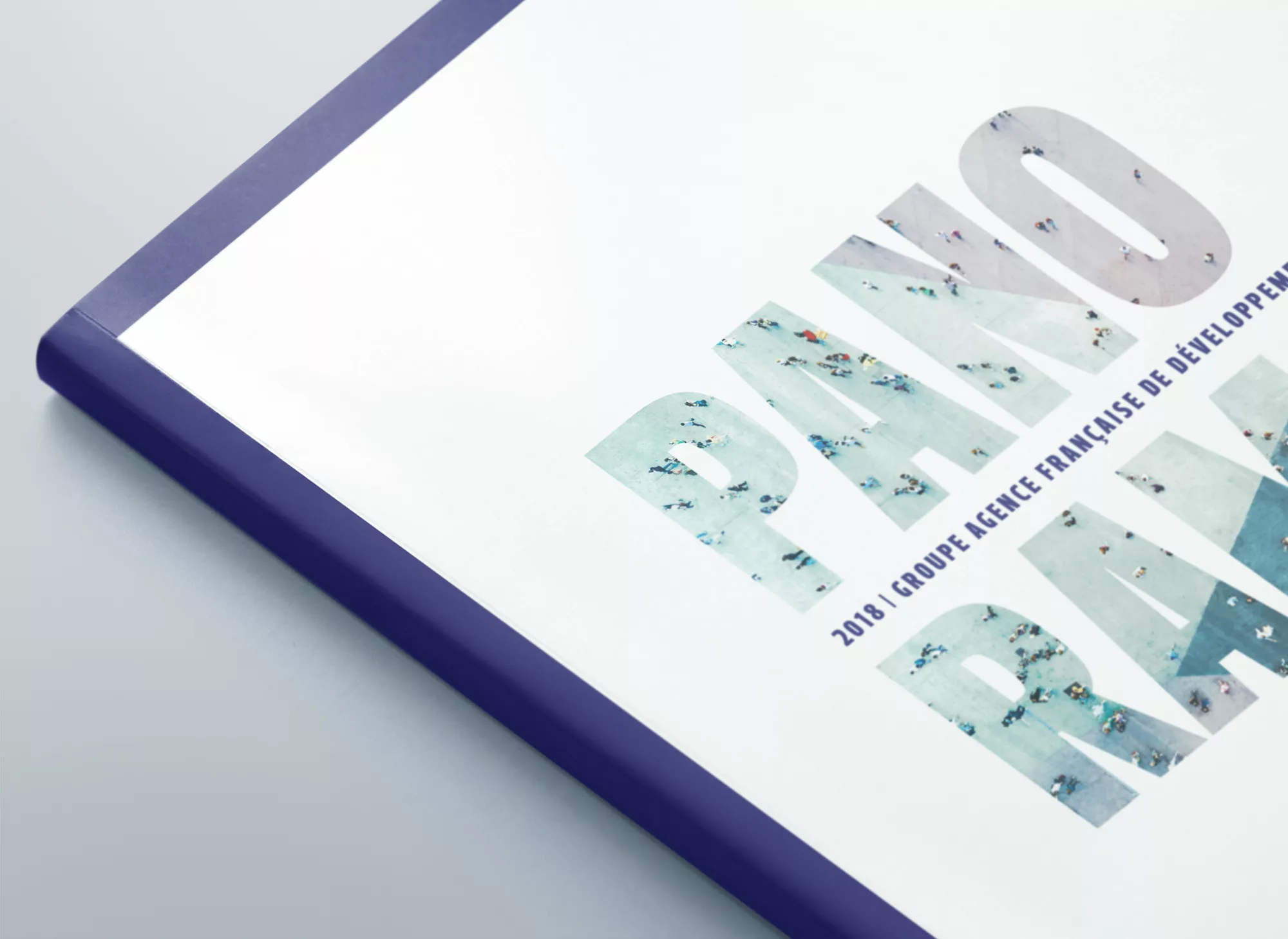 Rapport d’activité 2018 du groupe AFD | Animal pensant