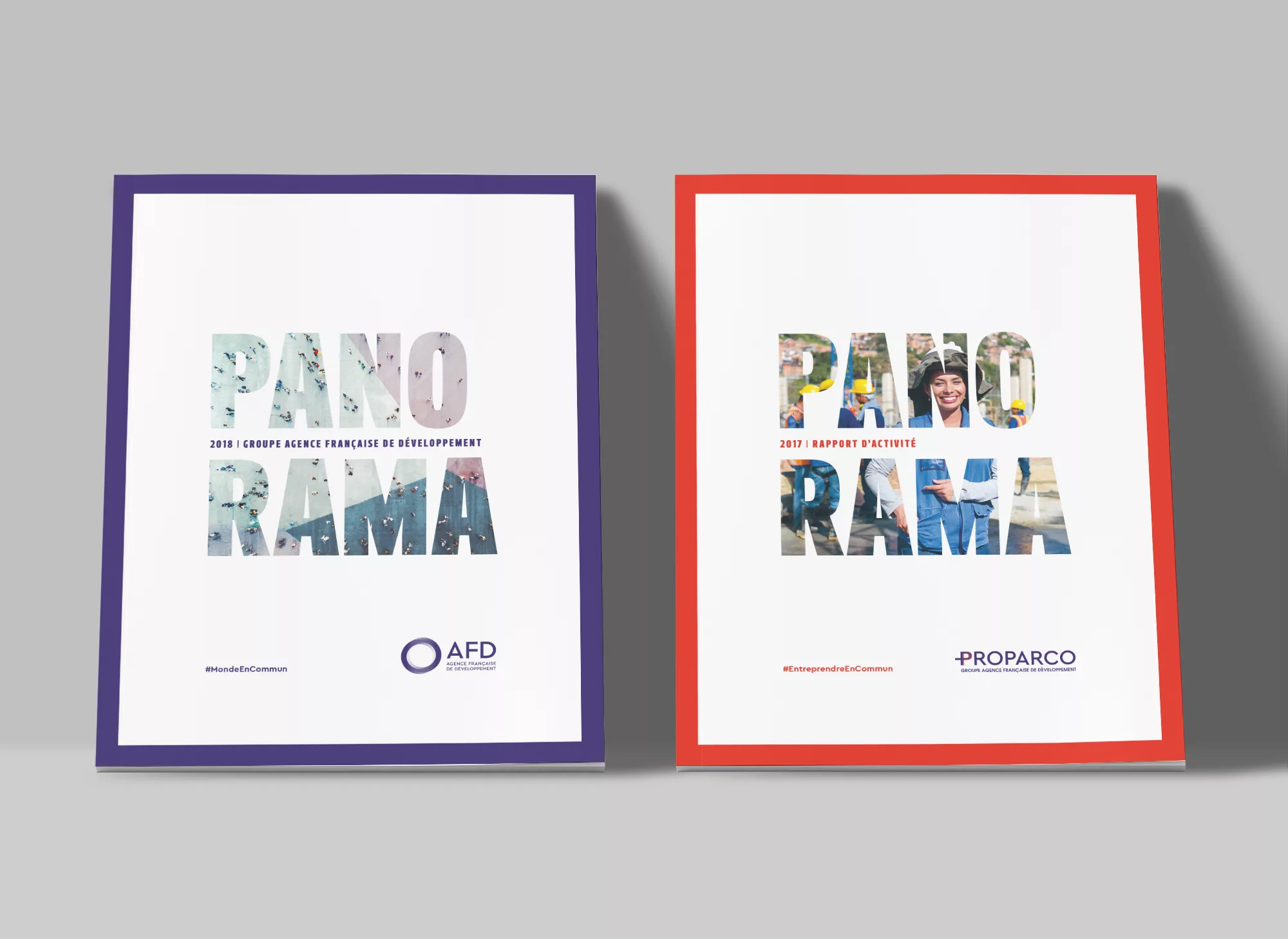 Rapport d’activité 2018 du groupe AFD | Animal pensant