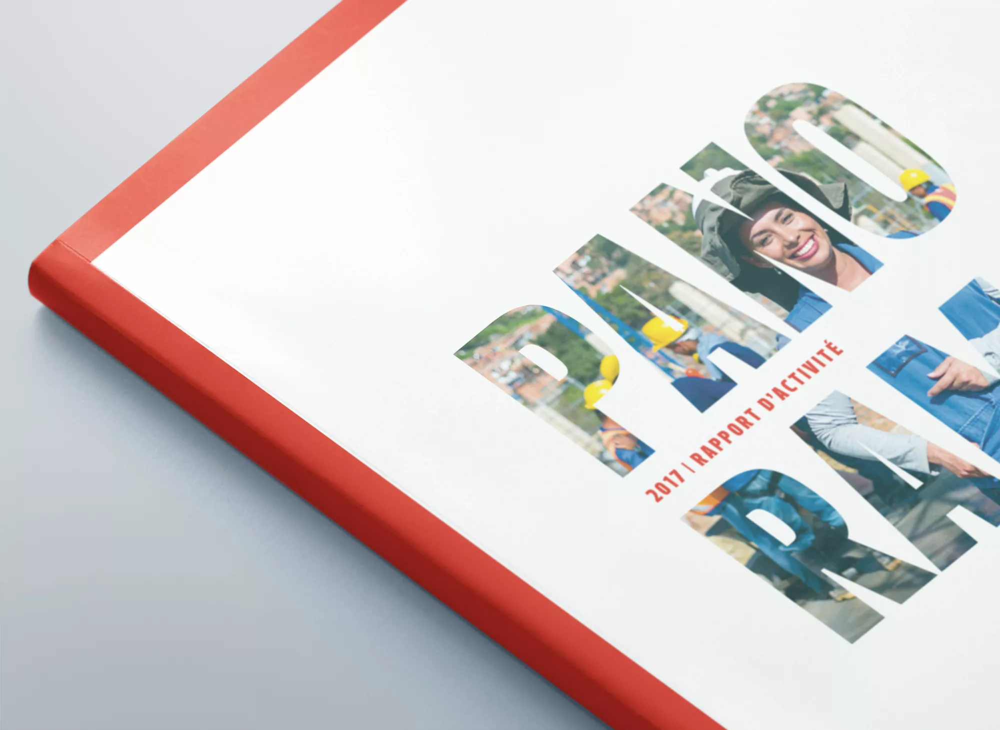 Rapport d’activité 2018 du groupe AFD | Animal pensant