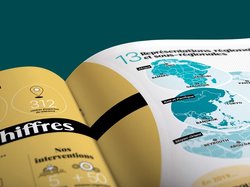 Rapport d’activité 2019 de l’OIE