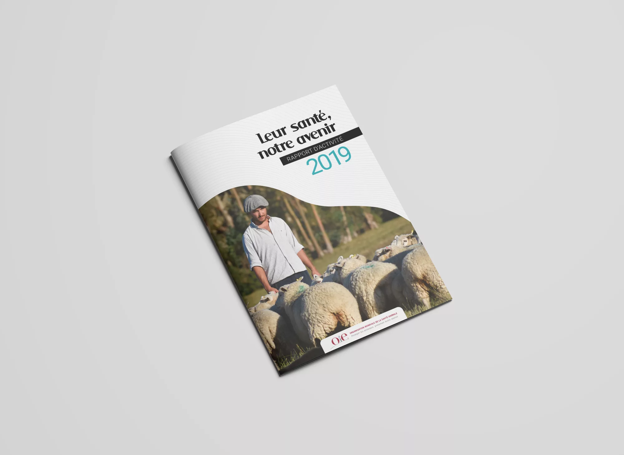 Rapport d&rsquo;activité 2019 de l&rsquo;OIE