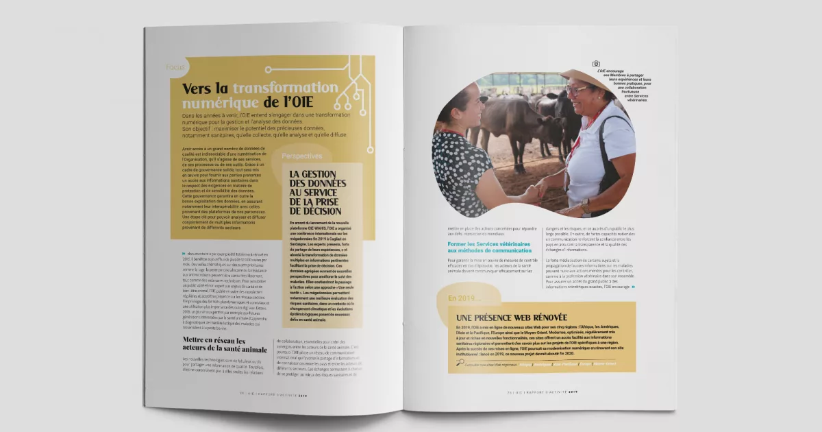 Rapport d’activité 2019 de l’OIE
