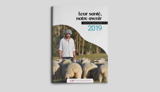 Rapport d’activité 2019 de l’OIE