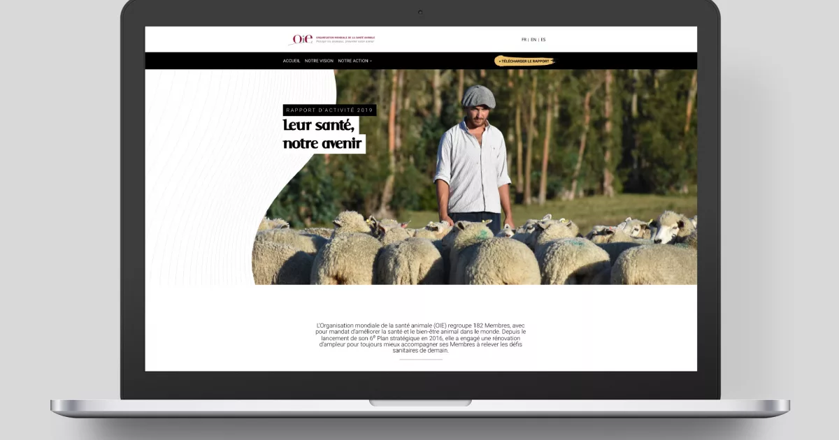 Site web rapport d’activité 2019 de l’OIE