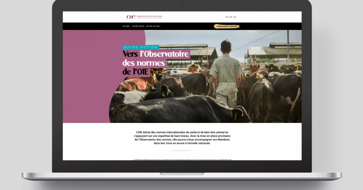 Site web rapport d’activité 2019 de l’OIE