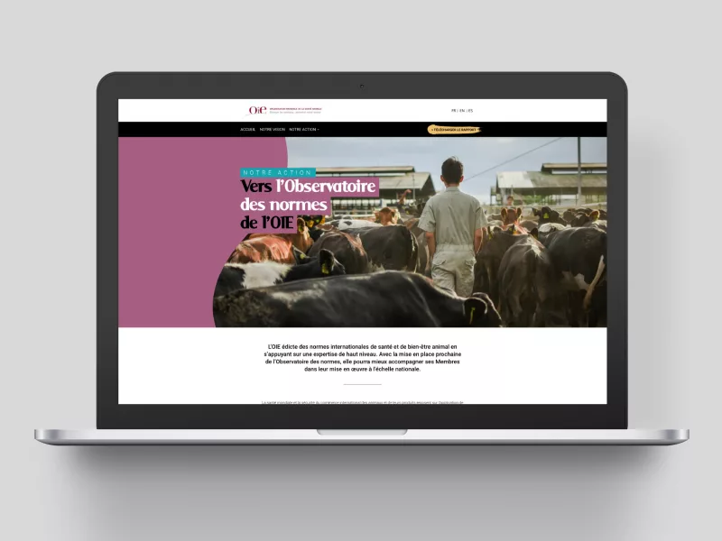 Site web rapport d’activité 2019 de l’OIE