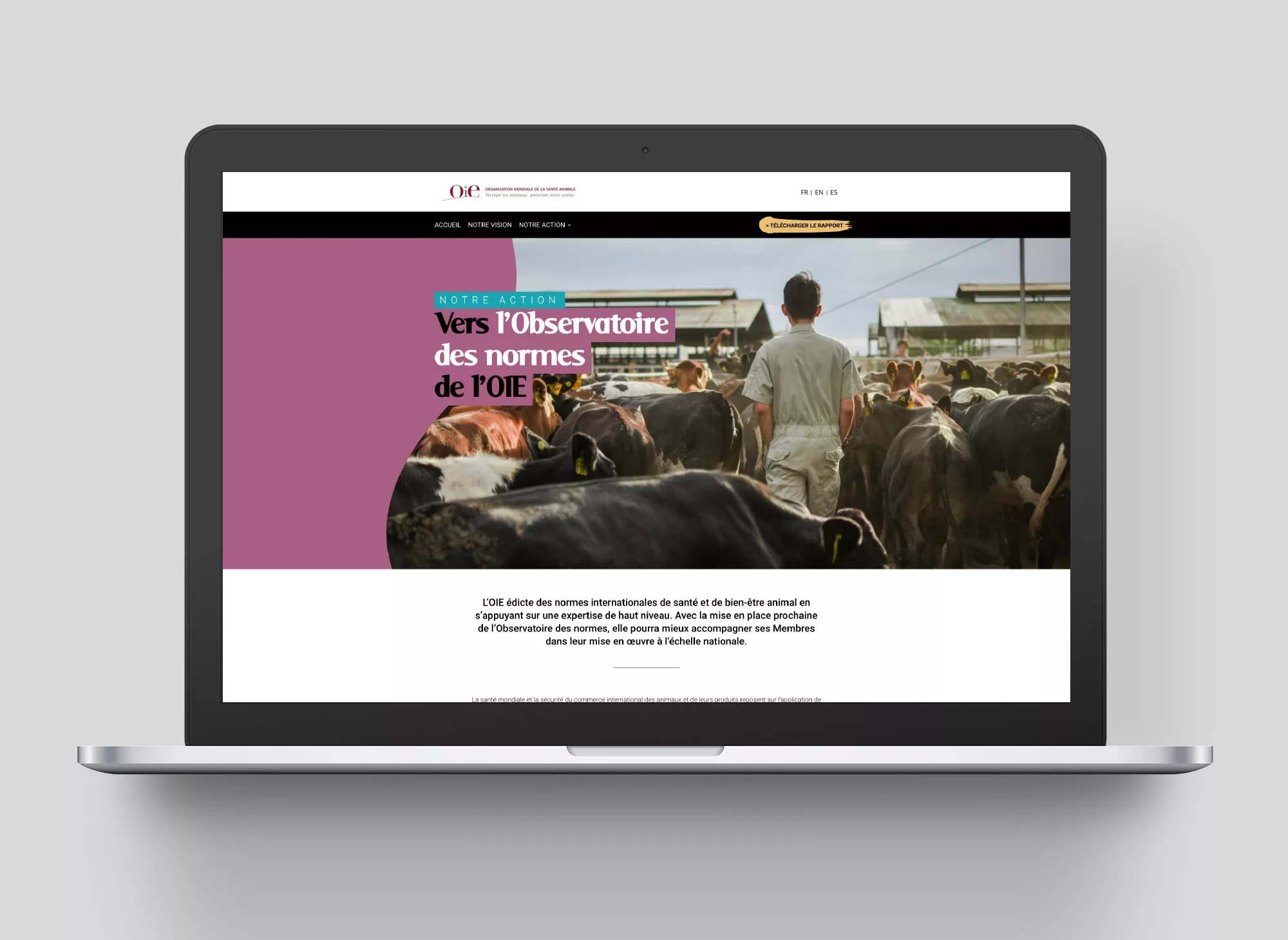 Site web rapport d&rsquo;activité 2019 de l&rsquo;OIE