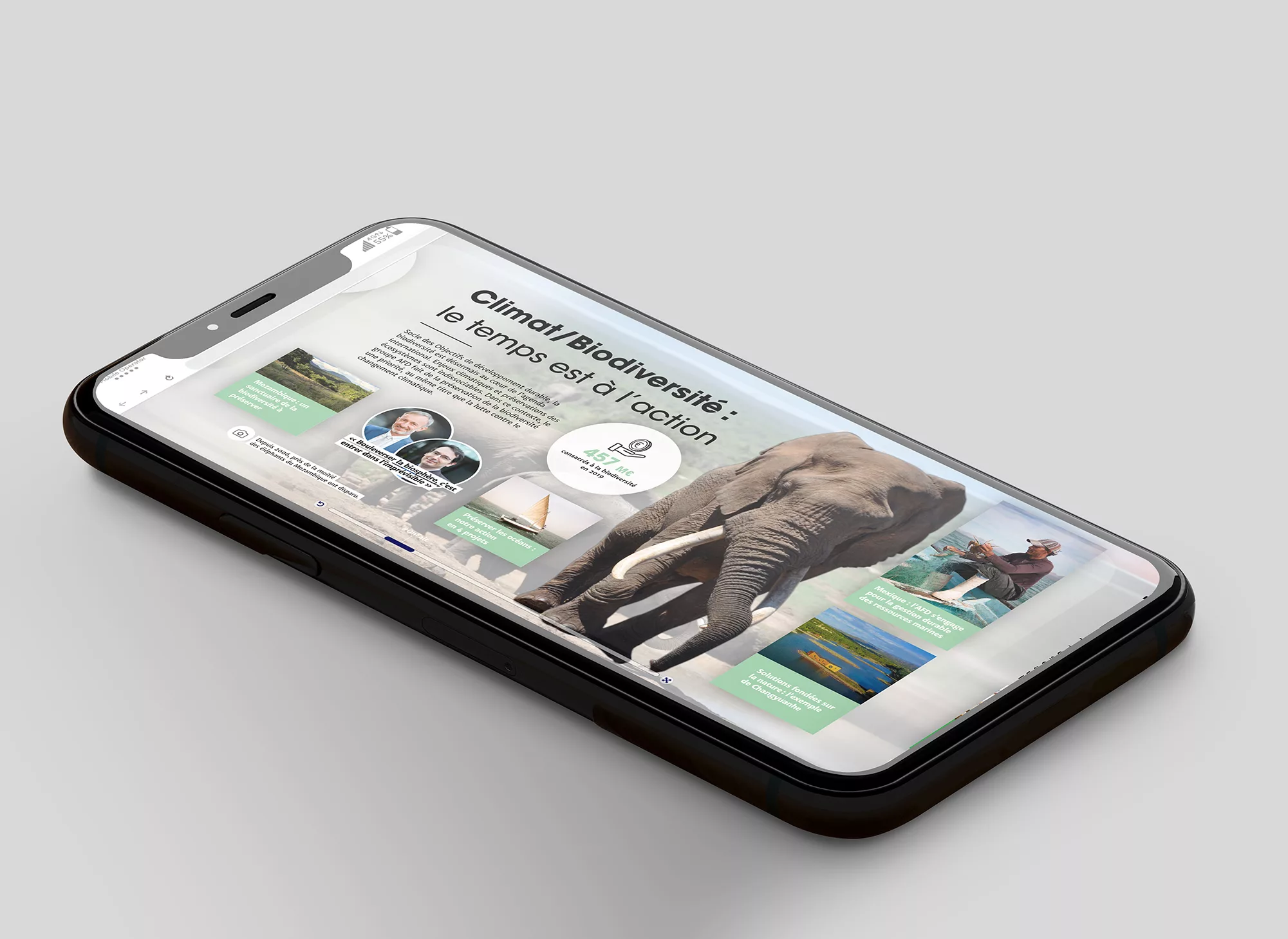 datawall-2020-animal-pensant-afd-4