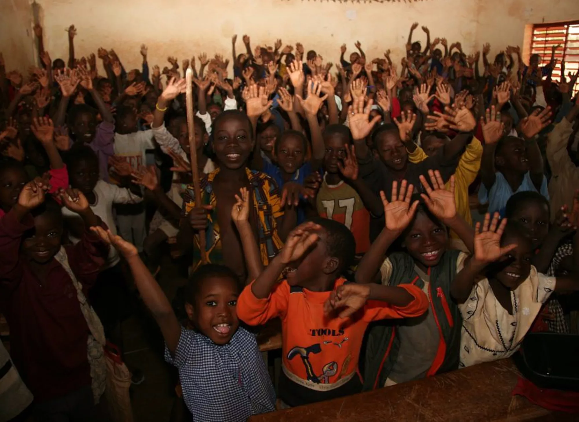 Afrique France avenir animal pensant AFD