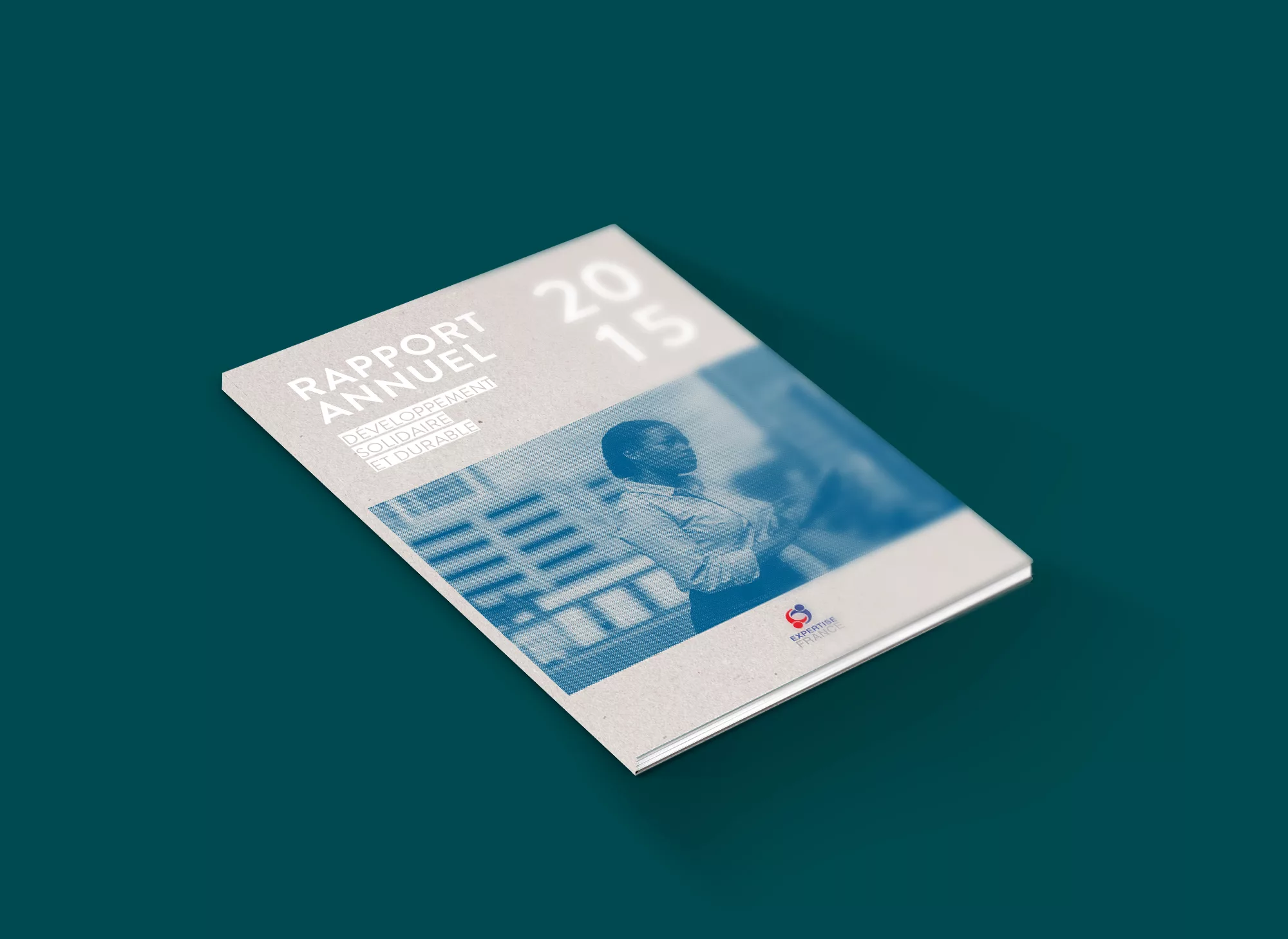 Rapport annuel 2015 d&rsquo;Expertise France – couverture