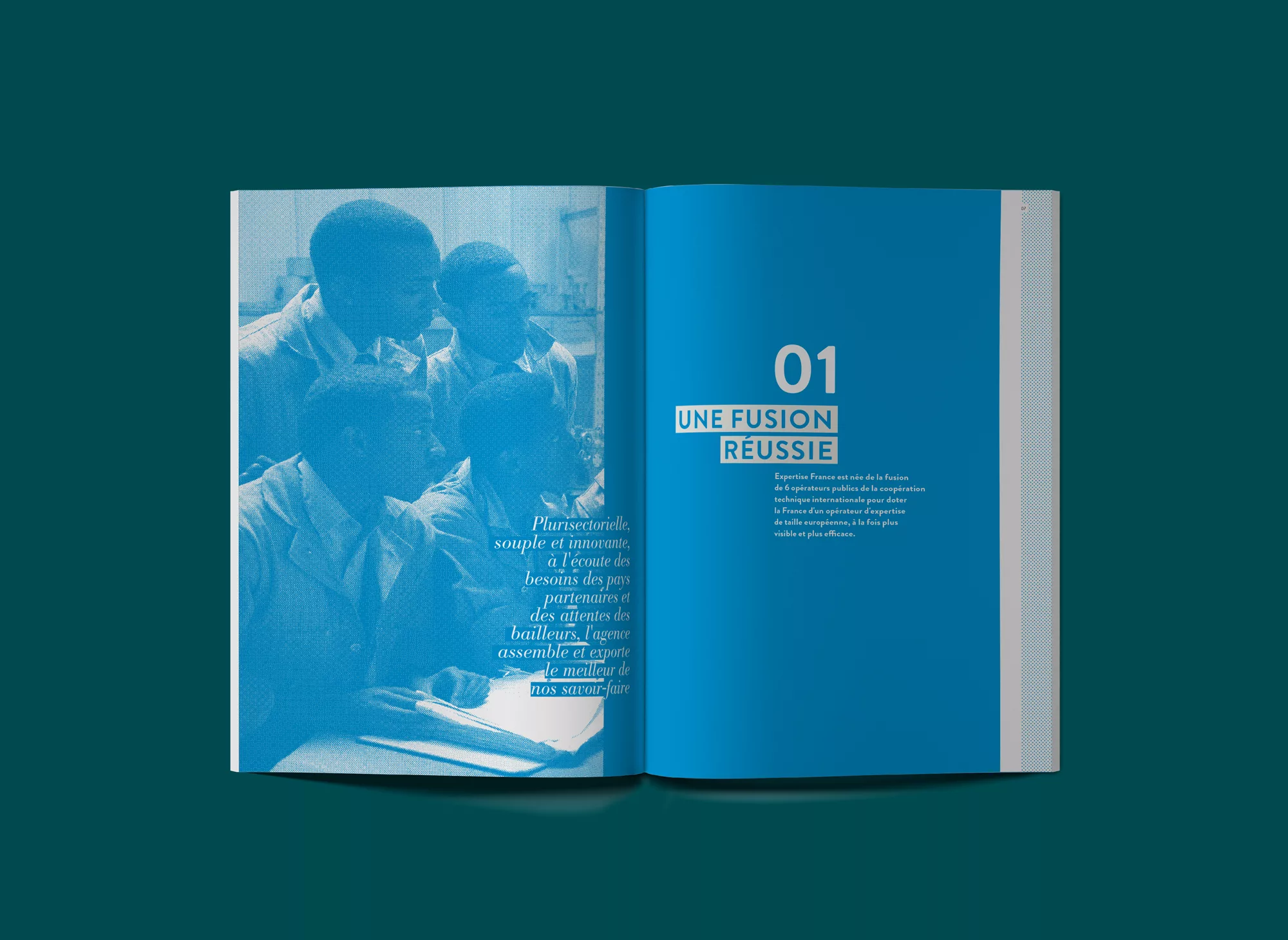 Rapport annuel 2015 d&rsquo;Expertise France – double d&rsquo;ouverture